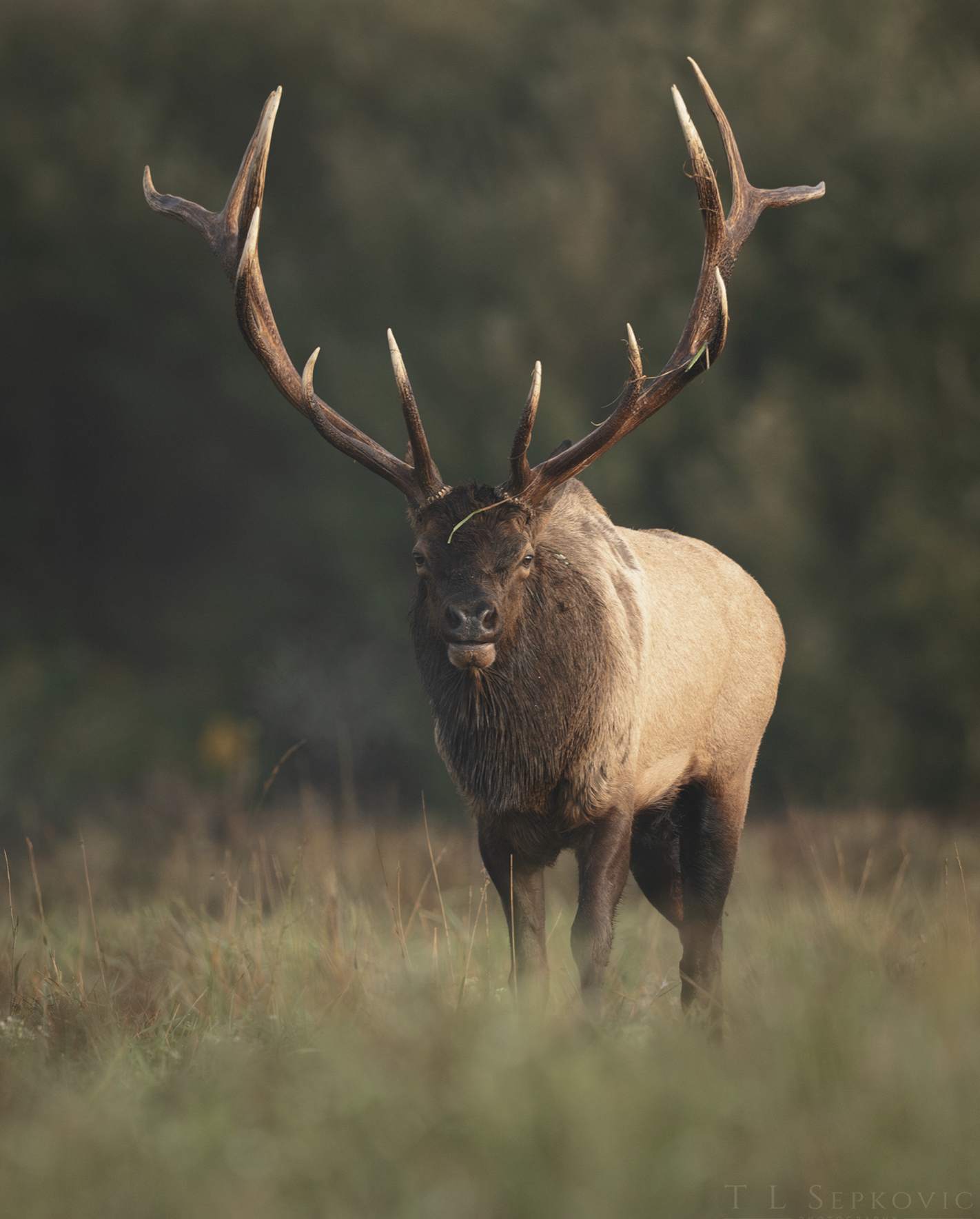 Screenshot 2026-03-26 at 2.19.28 PM.png