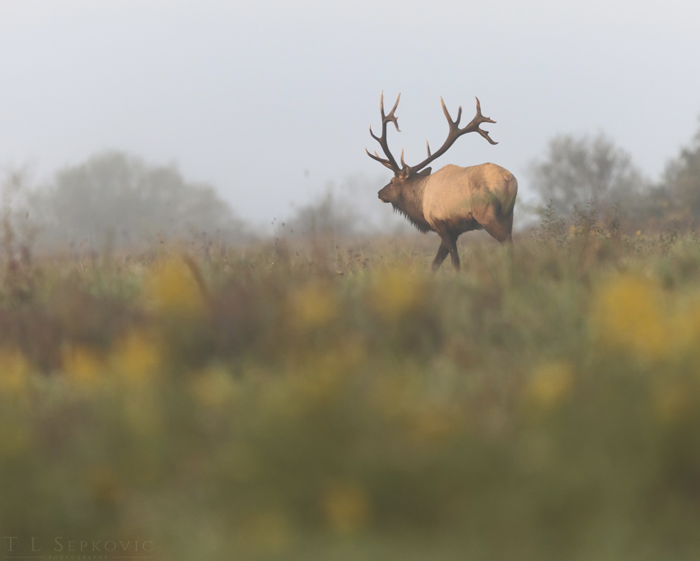 Screenshot 2026-03-26 at 2.19.58 PM.png