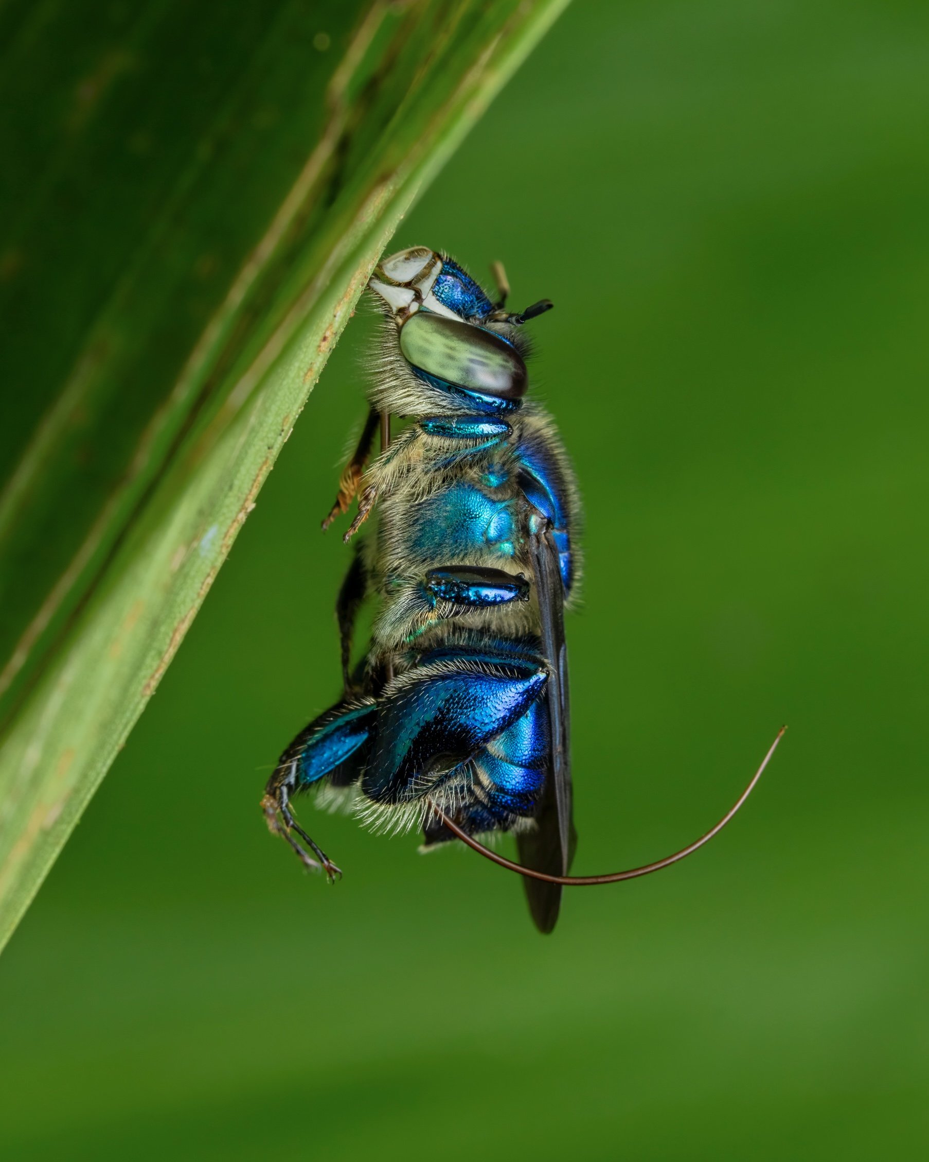 _DSC3134-Edit-2.jpg