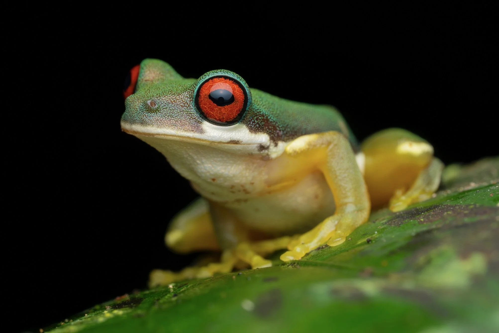 _DSC1405-Edit.jpg