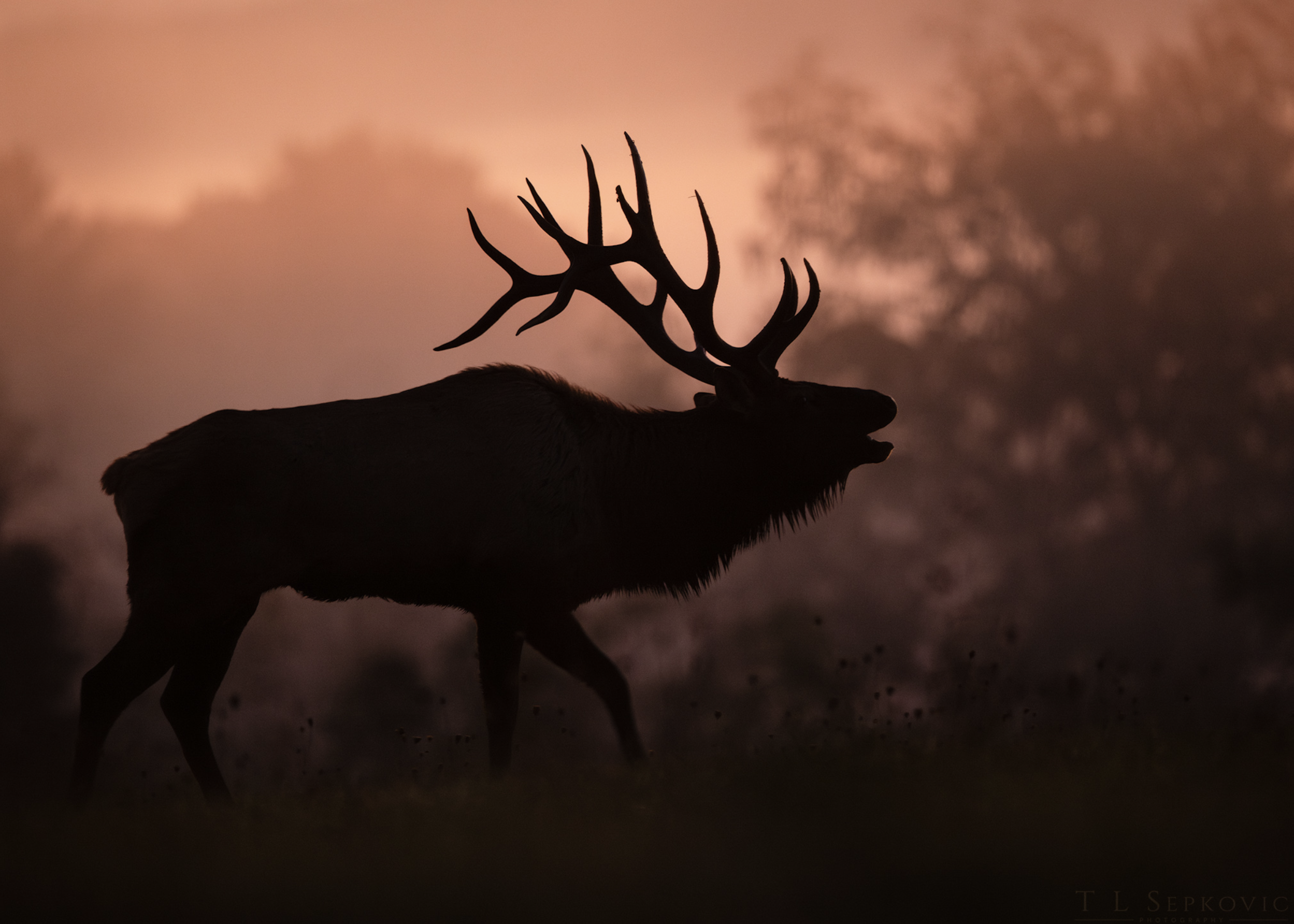 Screenshot 2026-03-26 at 1.43.56 PM.png