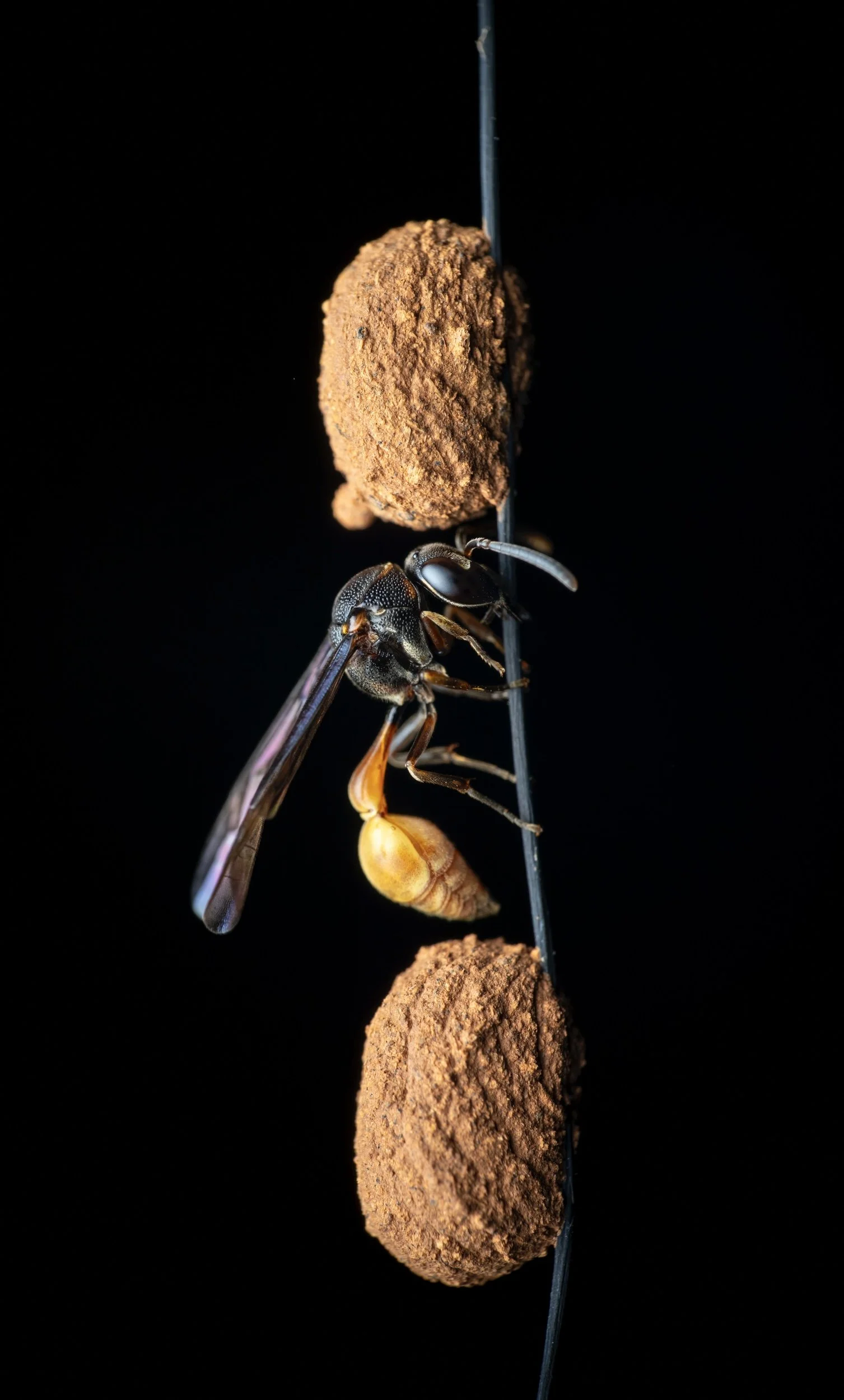 DSC00441-Edit.jpg