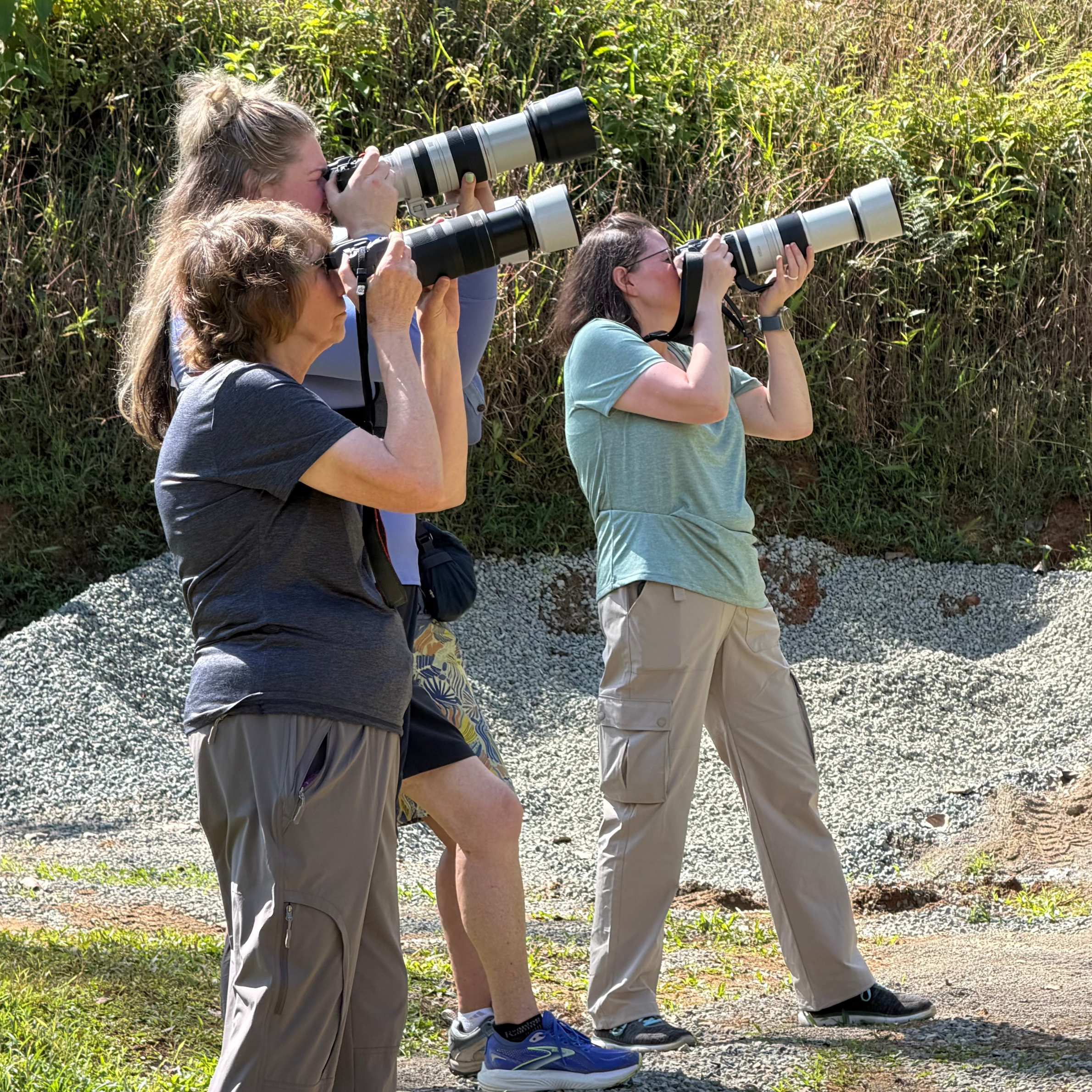 Three women photographing king vultures while standing on a private wildlife reserve.