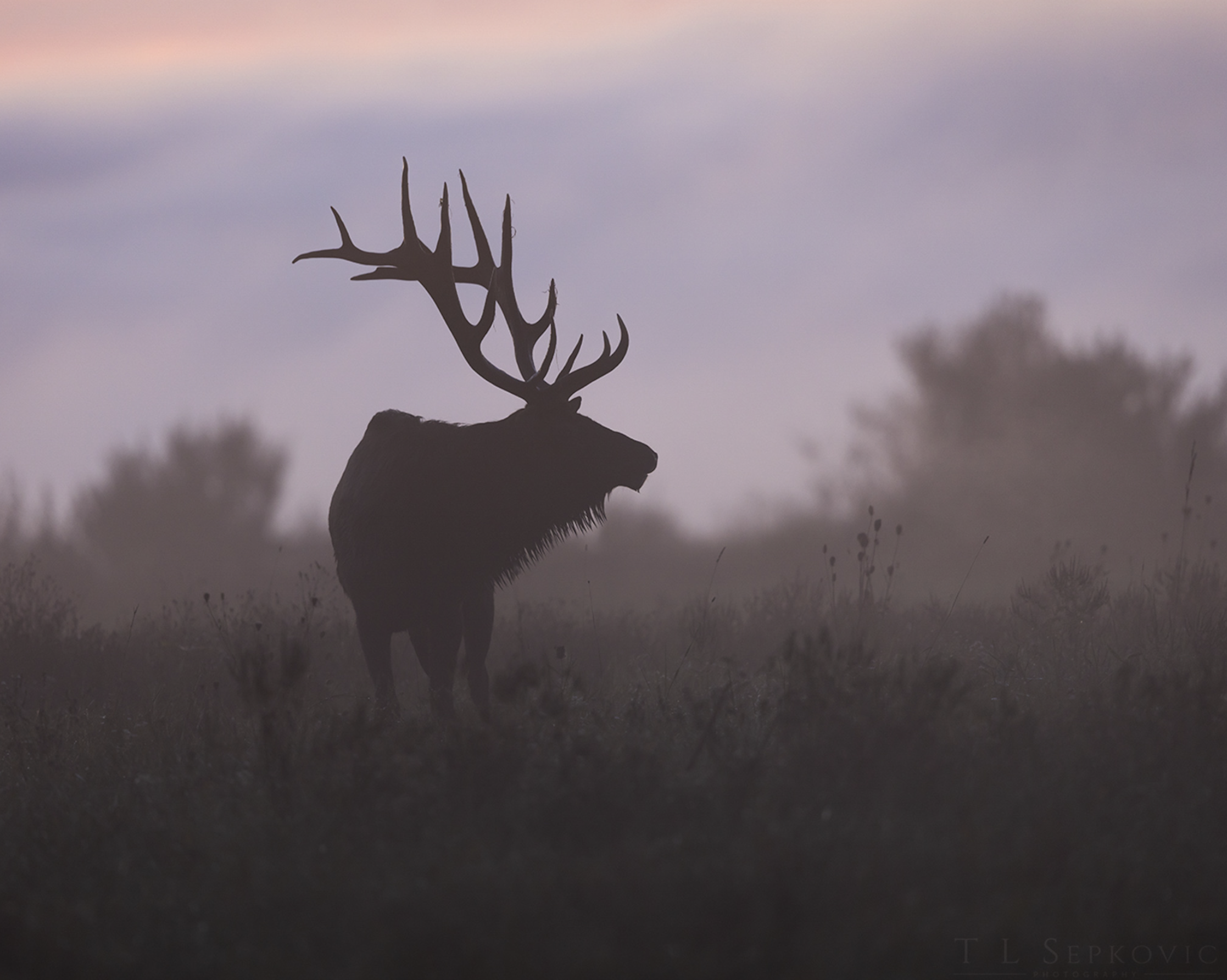 Screenshot 2026-03-26 at 2.21.01 PM.png