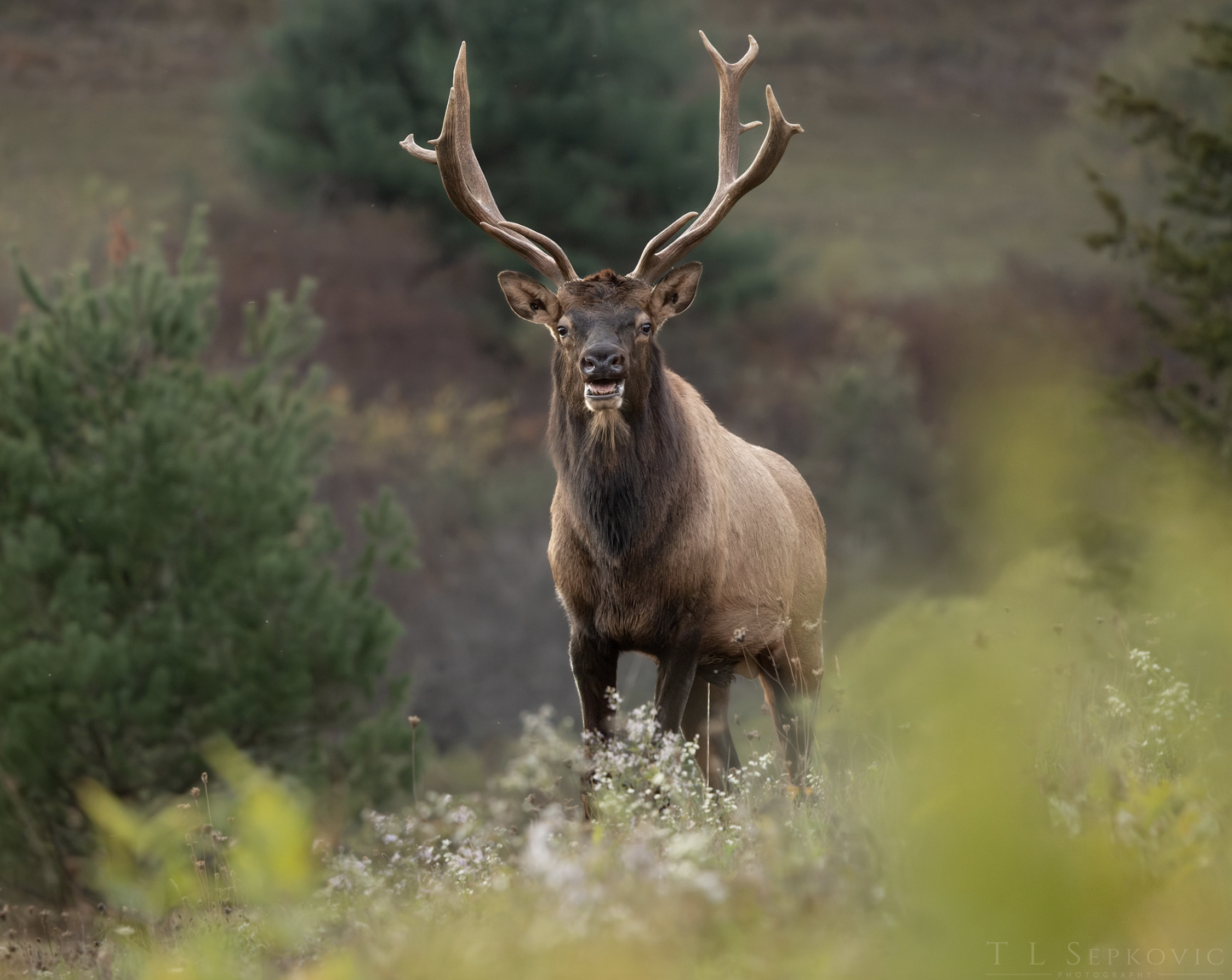 Screenshot 2026-03-26 at 1.43.34 PM.png