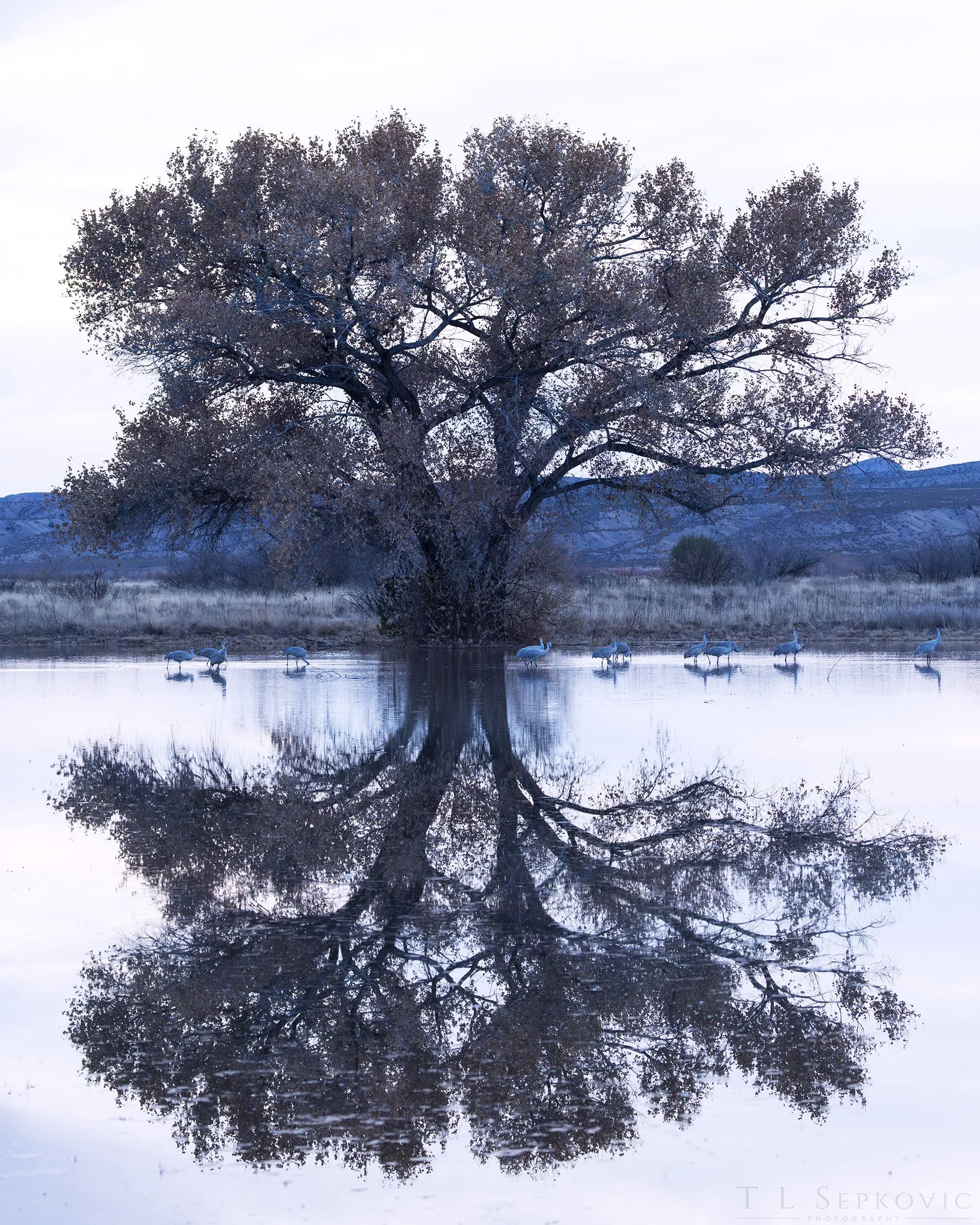 7W0A7356-a (web).jpg