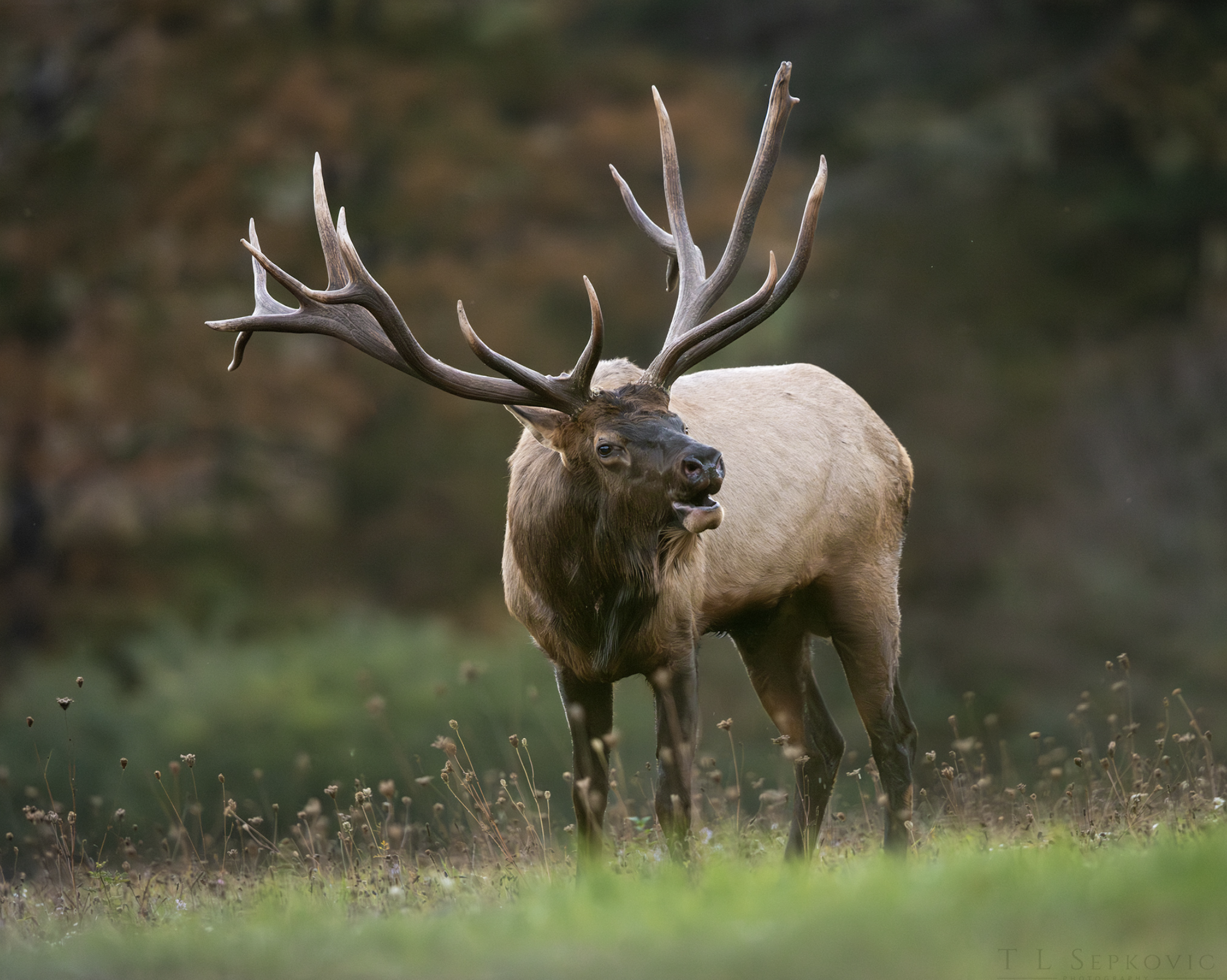 Screenshot 2026-03-26 at 1.43.46 PM.png