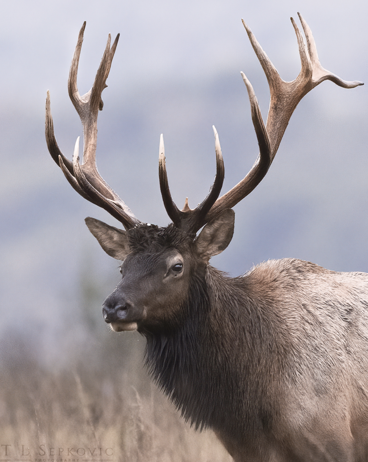 Screenshot 2026-03-26 at 2.21.41 PM.png