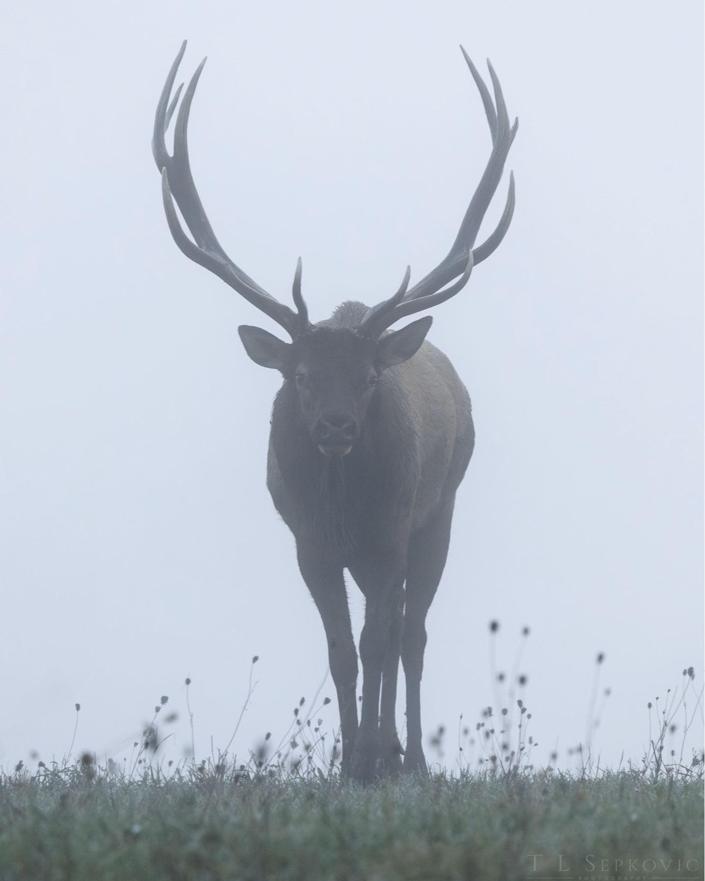 Screenshot 2026-03-26 at 1.43.05 PM.png