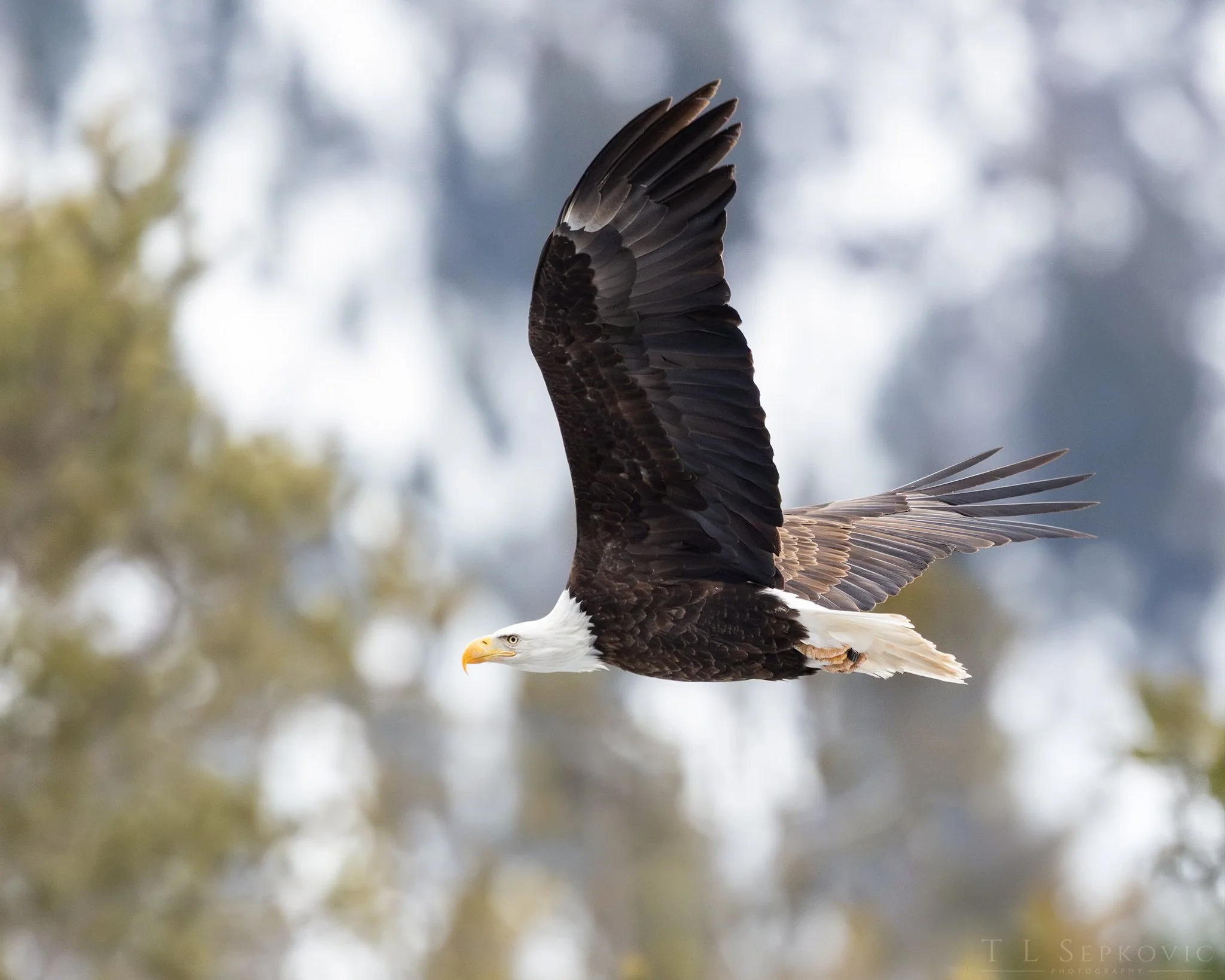 7W0A2767-a(web) - Copy.jpg