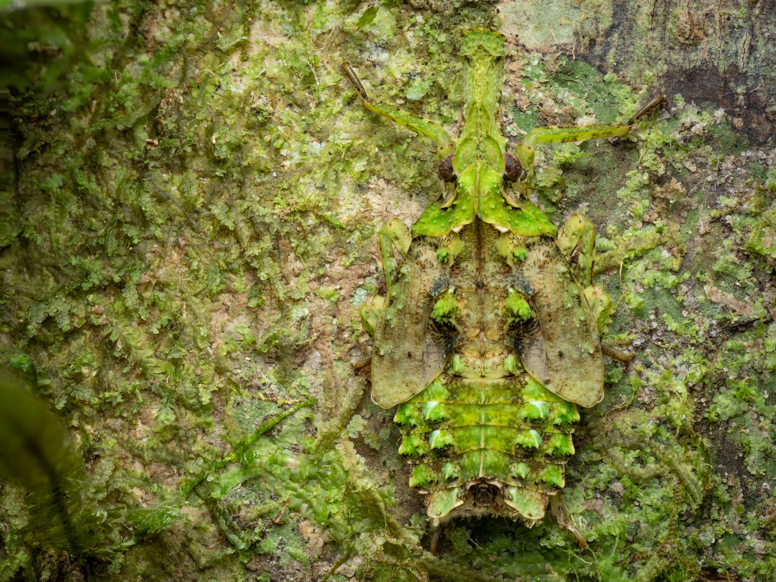 Blending in.jpg