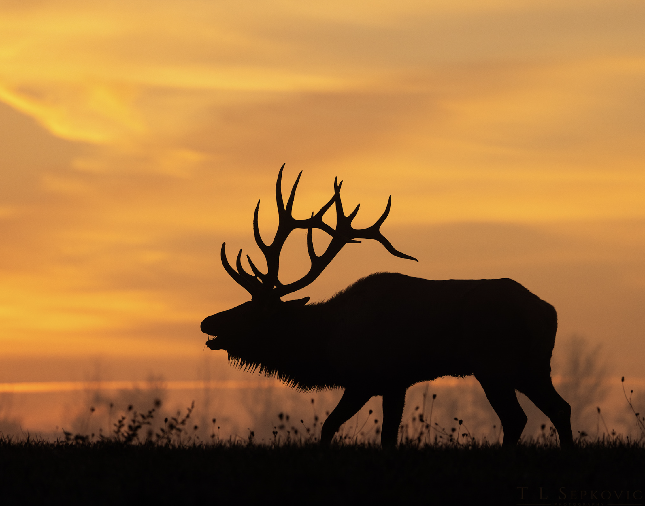 Screenshot 2026-03-26 at 2.19.07 PM.png