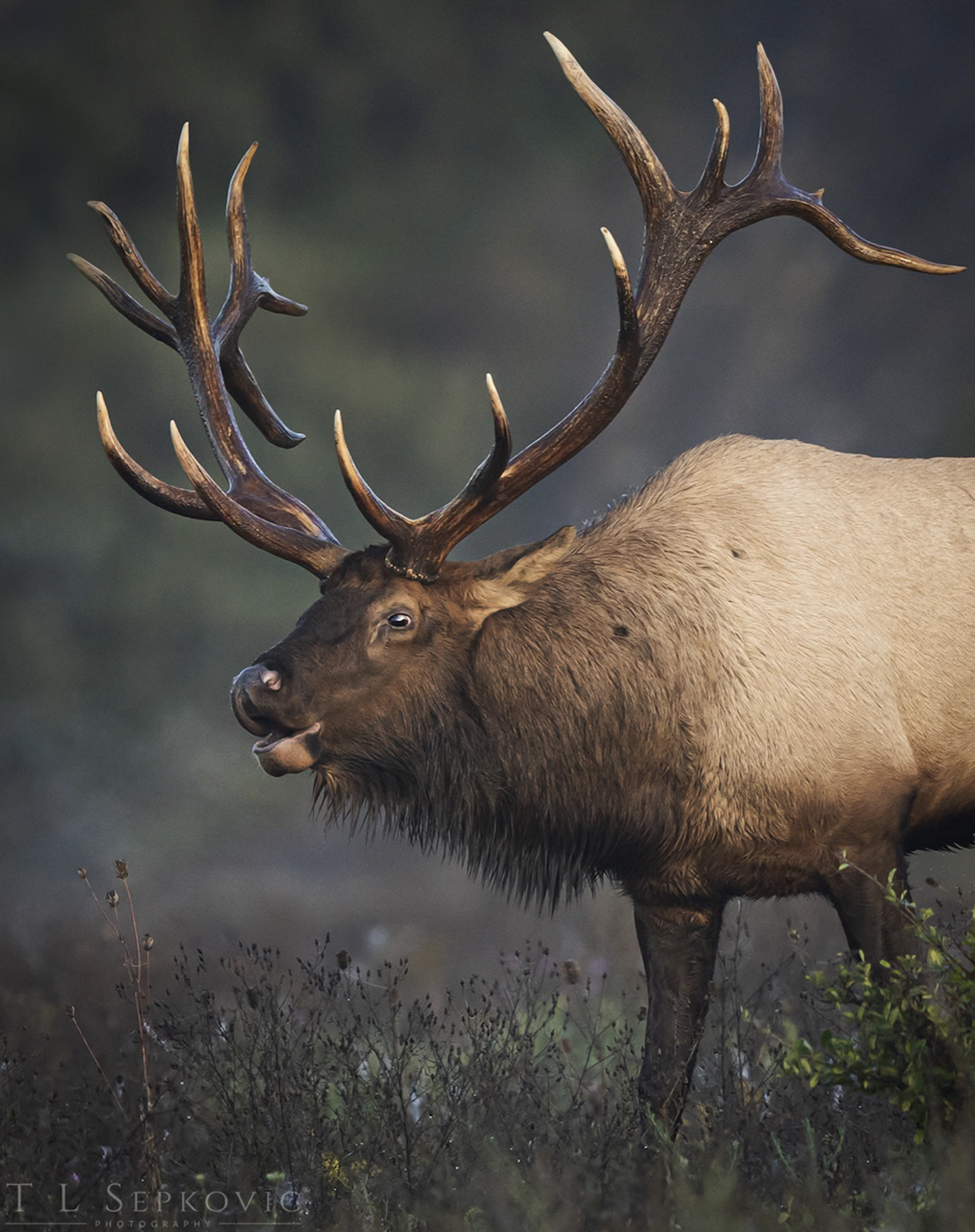 Screenshot 2026-03-26 at 2.20.10 PM.png