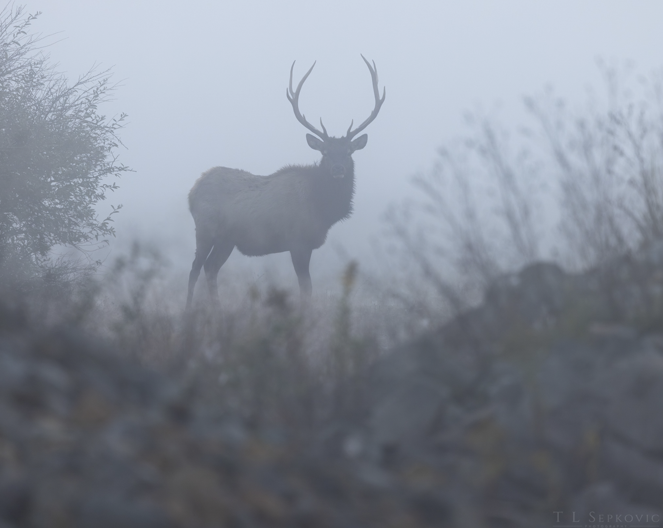 Screenshot 2026-03-26 at 2.19.18 PM.png