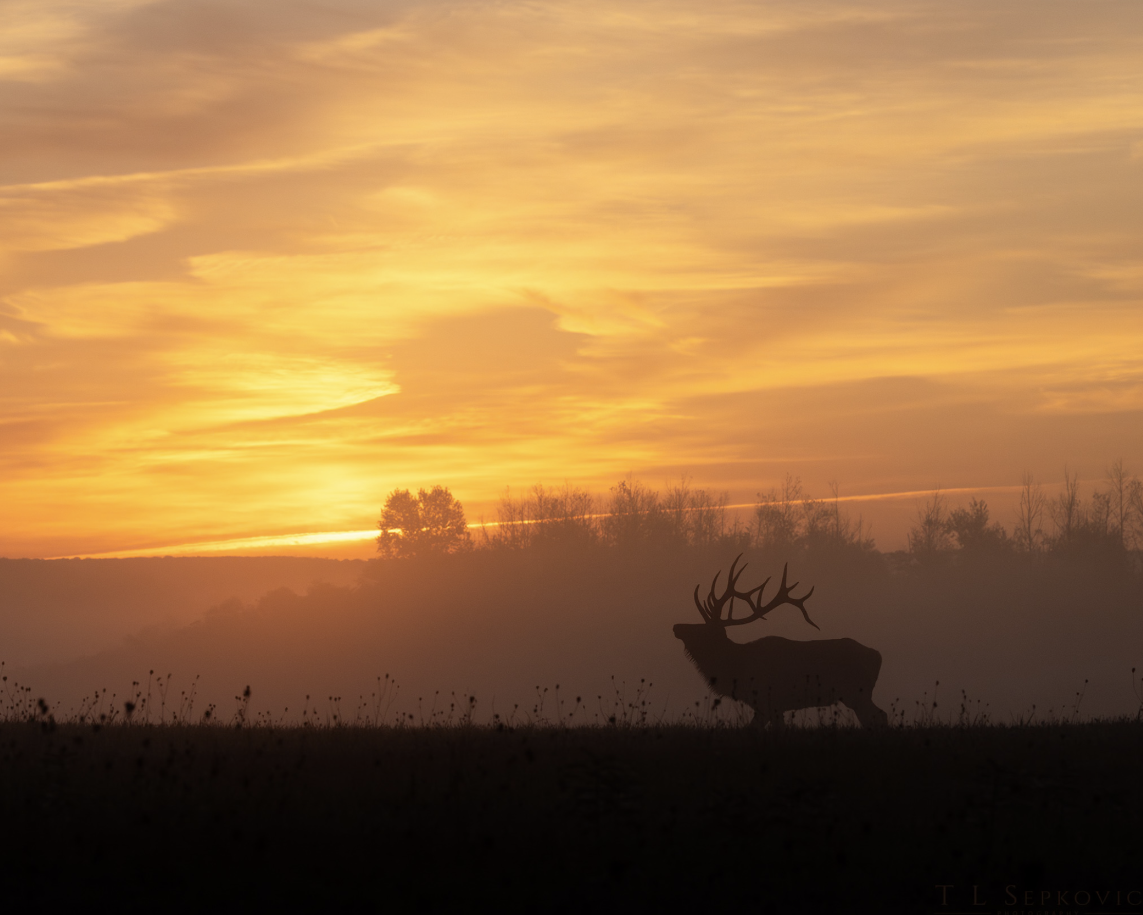 Screenshot 2026-03-26 at 1.44.05 PM.png