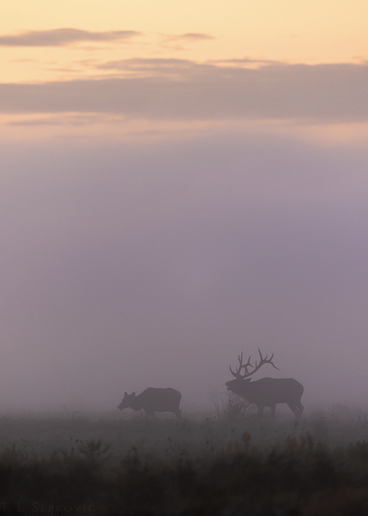 Screenshot 2026-03-26 at 2.20.43 PM.png