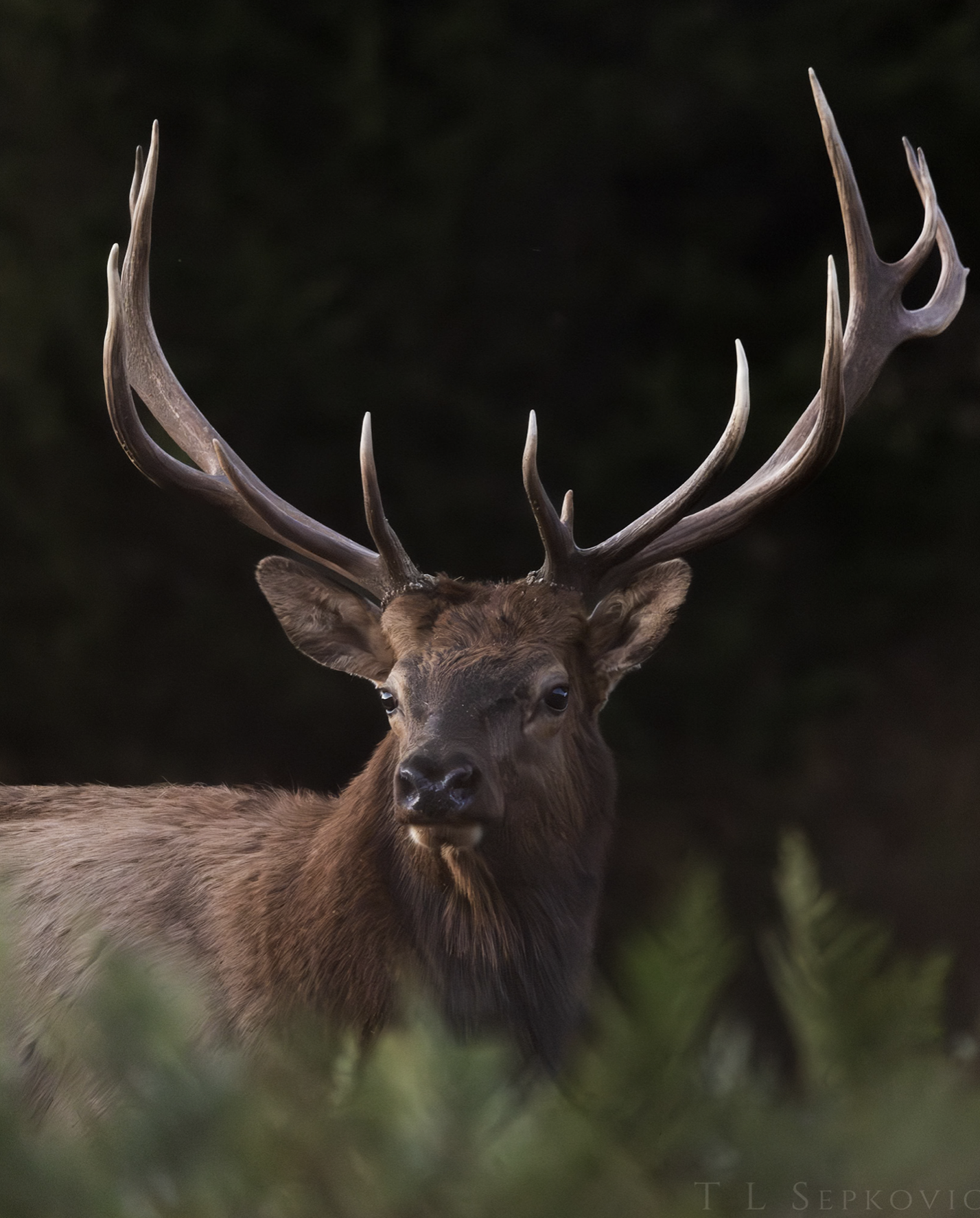 Screenshot 2026-03-26 at 1.43.23 PM.png