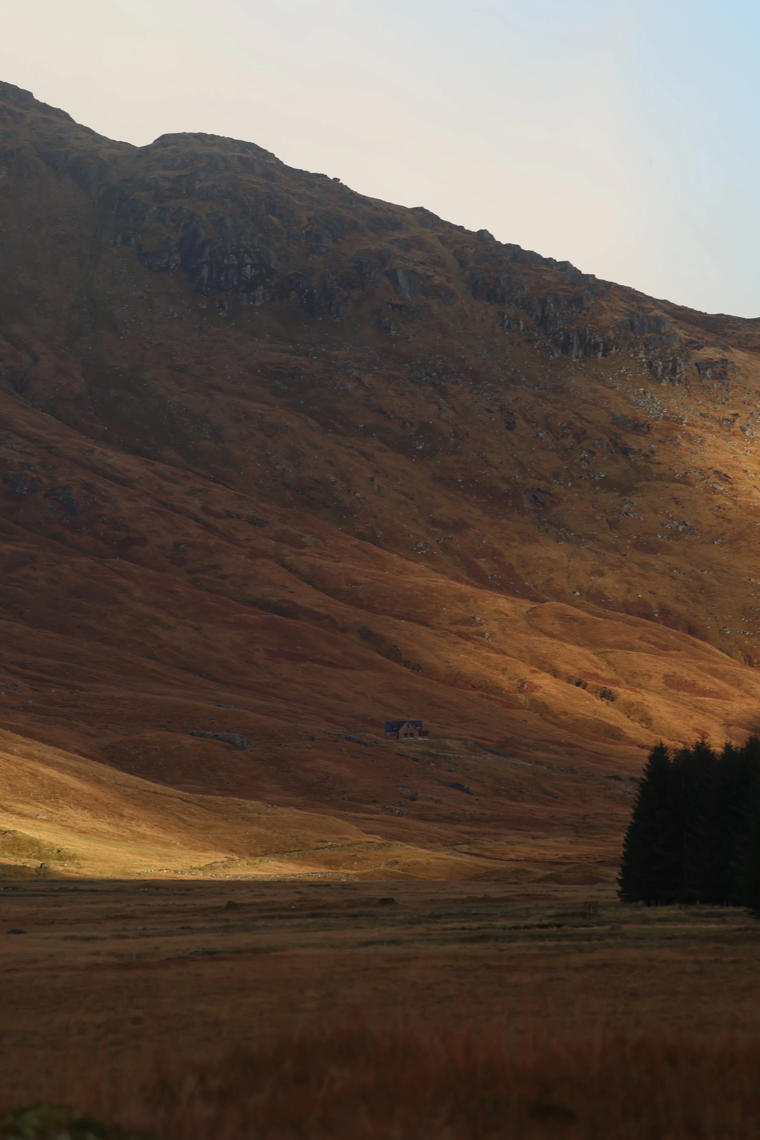 Scenic landscape of a mountain with dry grass, a small house in the middle, and forest on the right.