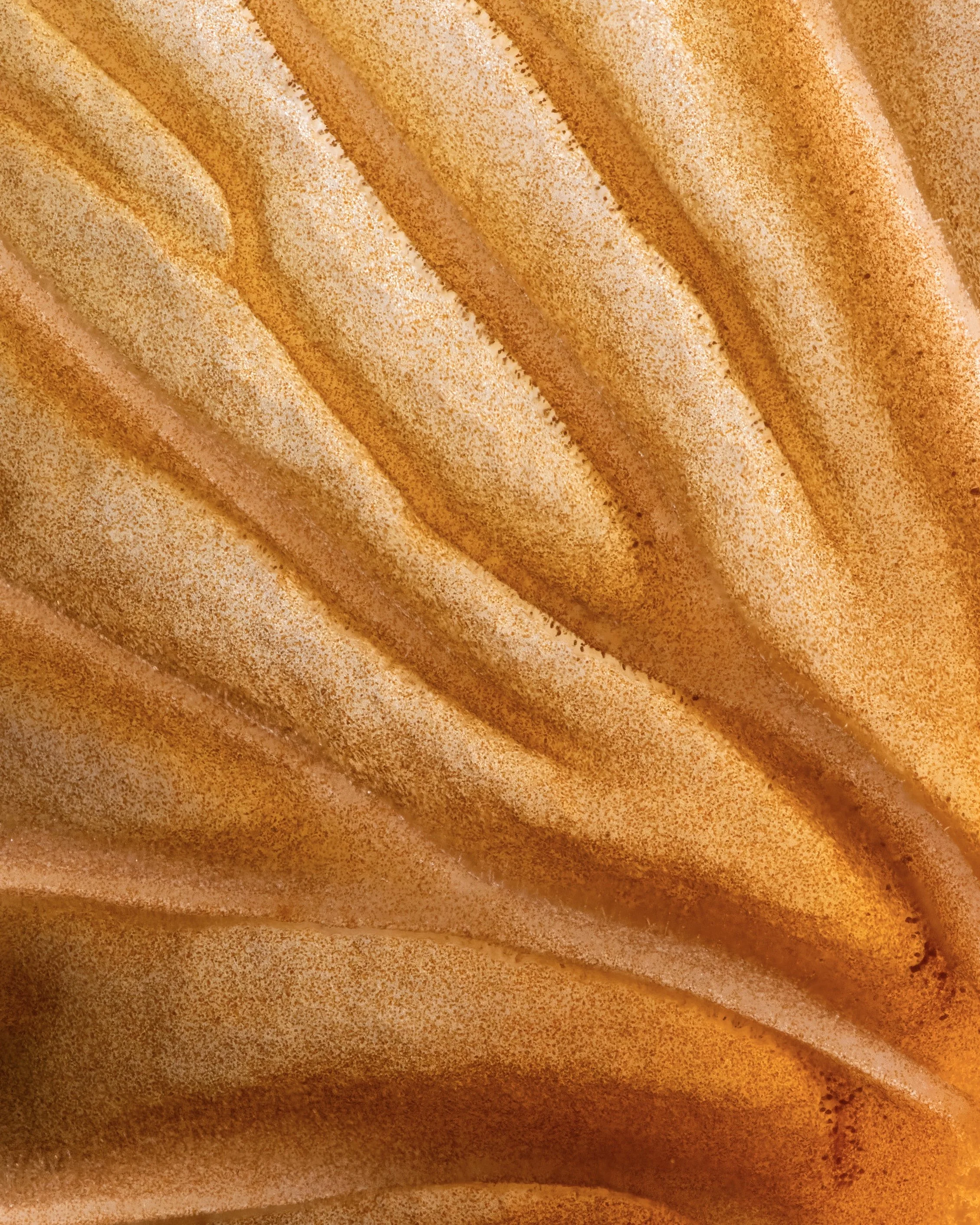 Close-up of a carved pumpkin with textured orange surface and visible ridges.