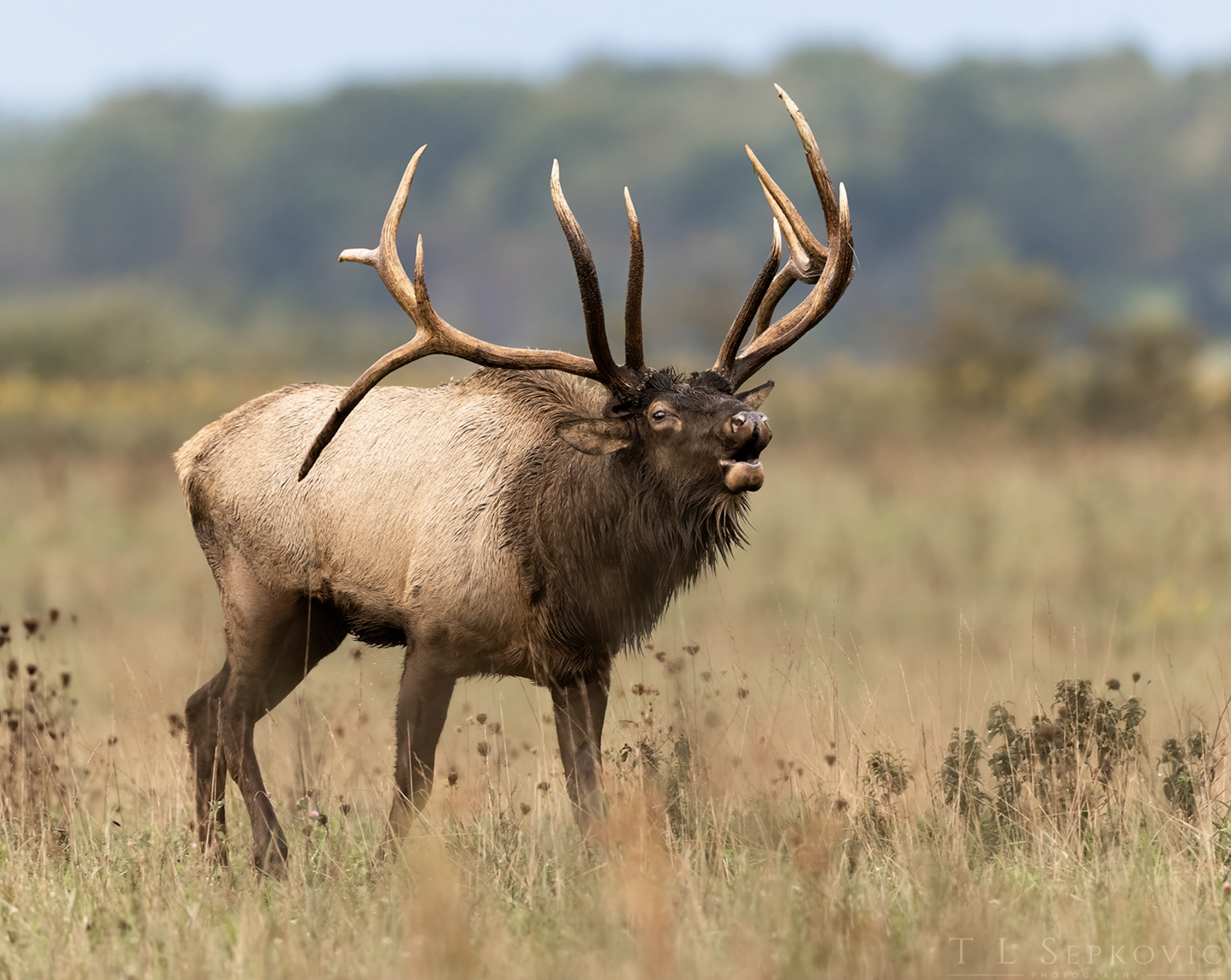 Screenshot 2026-03-26 at 2.21.30 PM.png