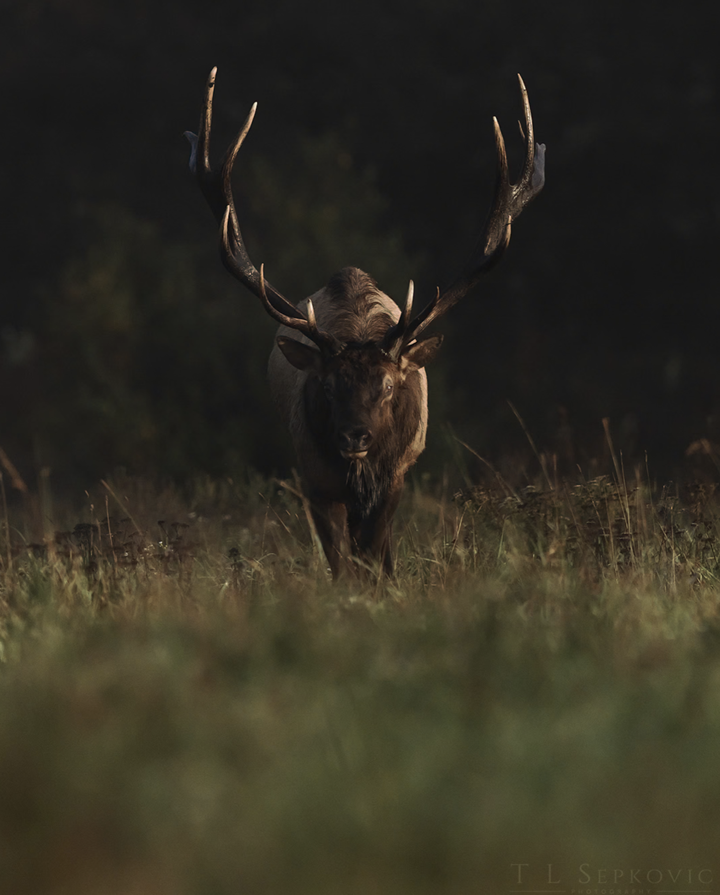 Screenshot 2026-03-26 at 2.19.37 PM.png