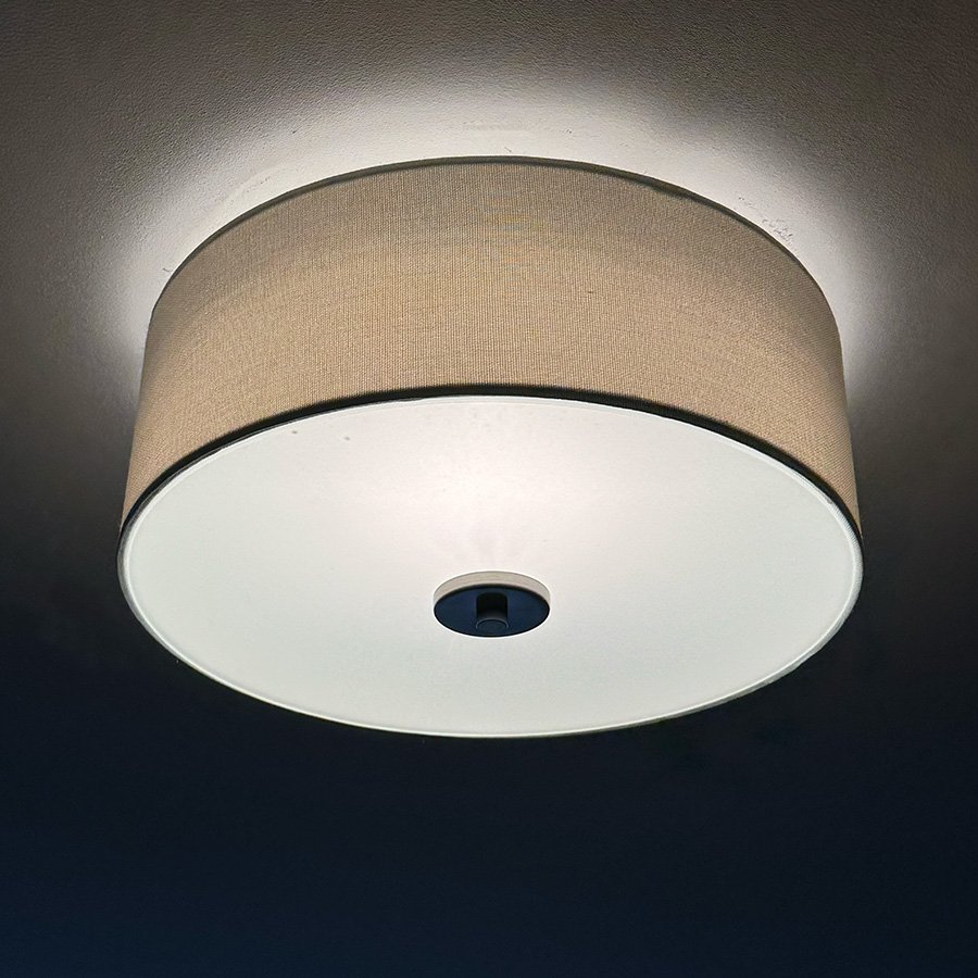 PrimaryLight-2.jpg