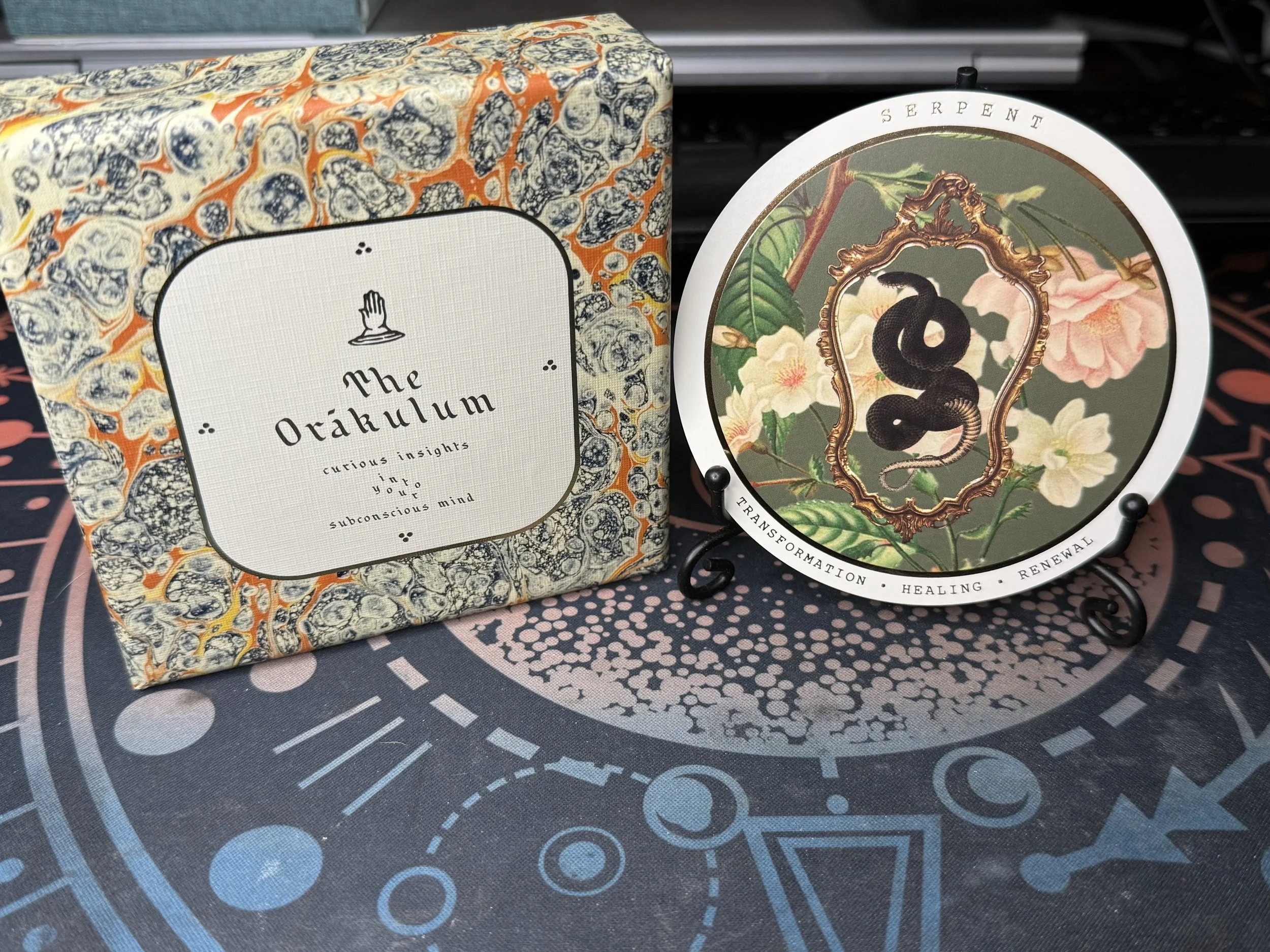 A square box and a round card with a snake and flowers on it propped up in a picture stand