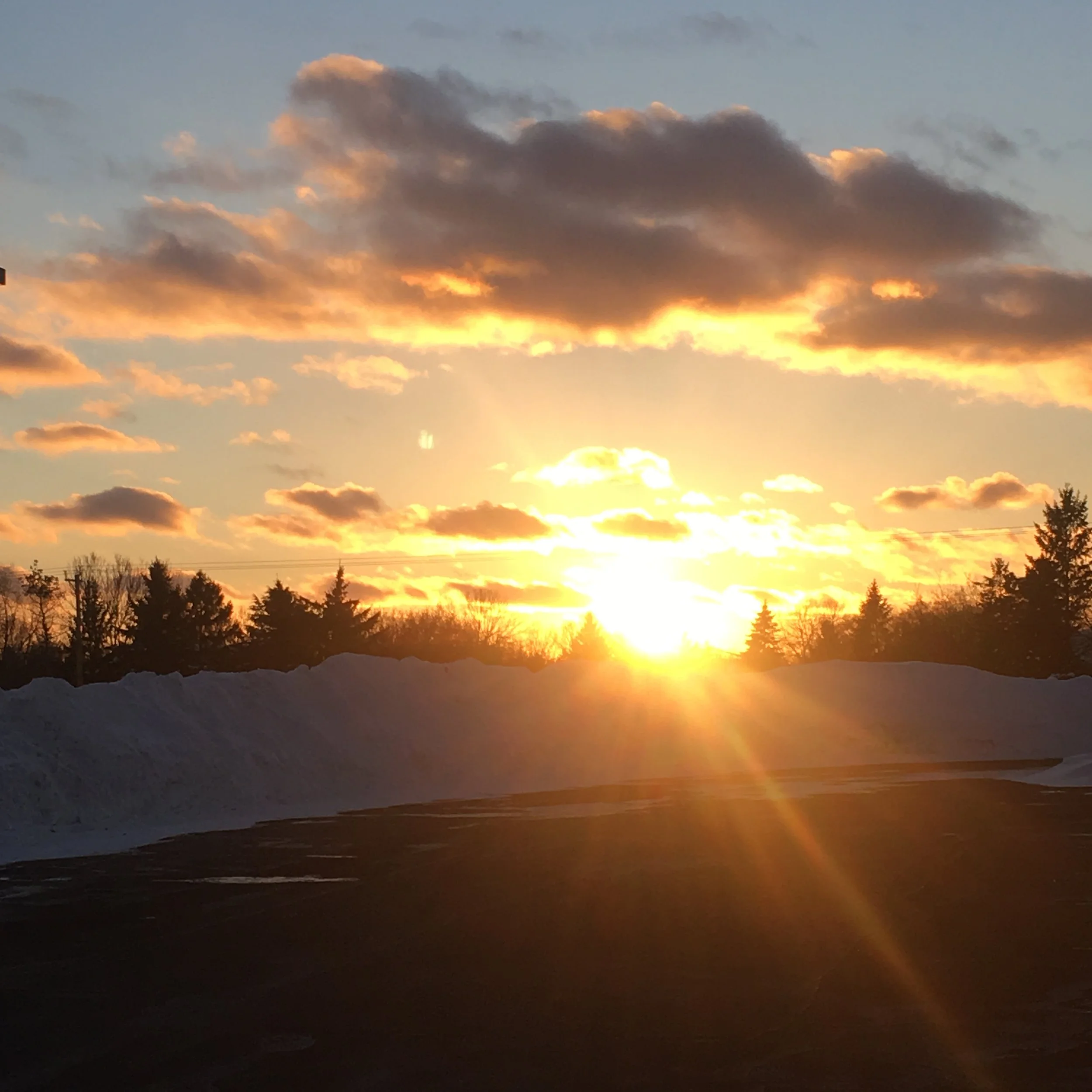 Sun setting behind trees with snow bank, cloudy sky, and sun rays highlighting the winter scene.