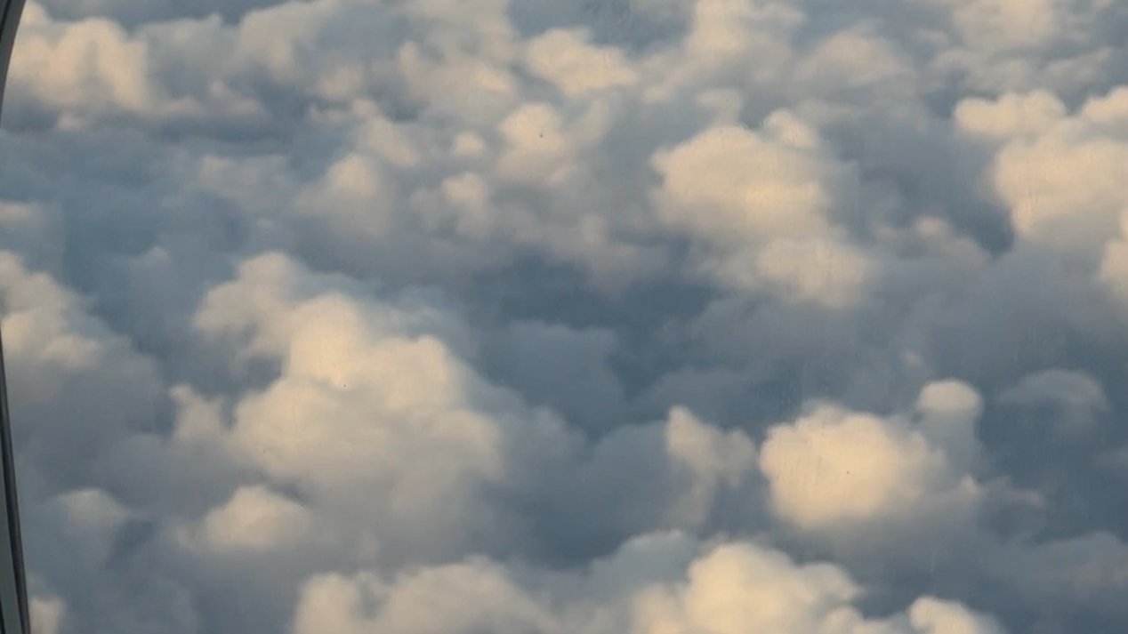 Screenshot 2025-12-12 at 2.51.07 PM.png