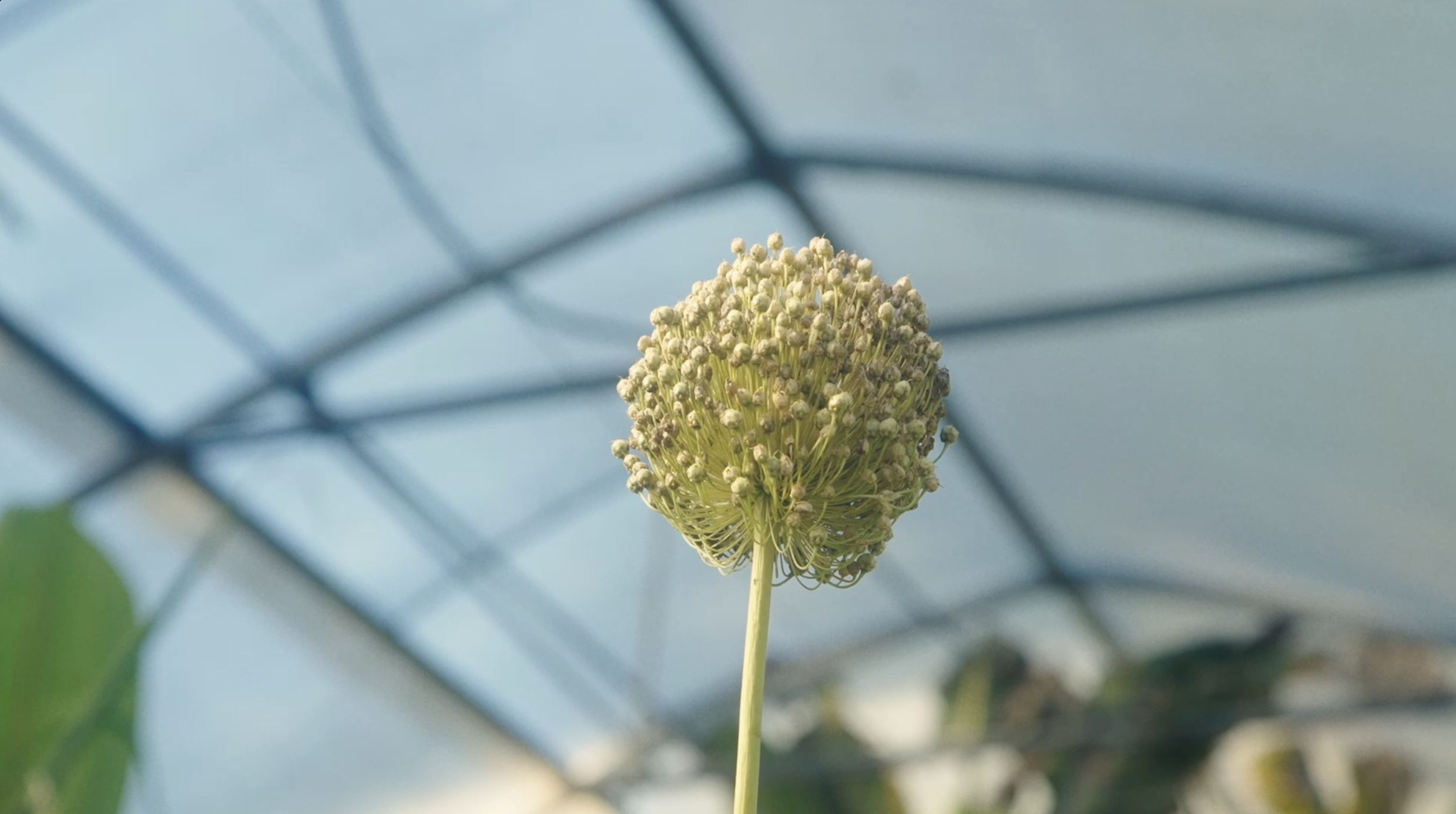 Screenshot 2026-02-21 at 10.14.24 PM.png