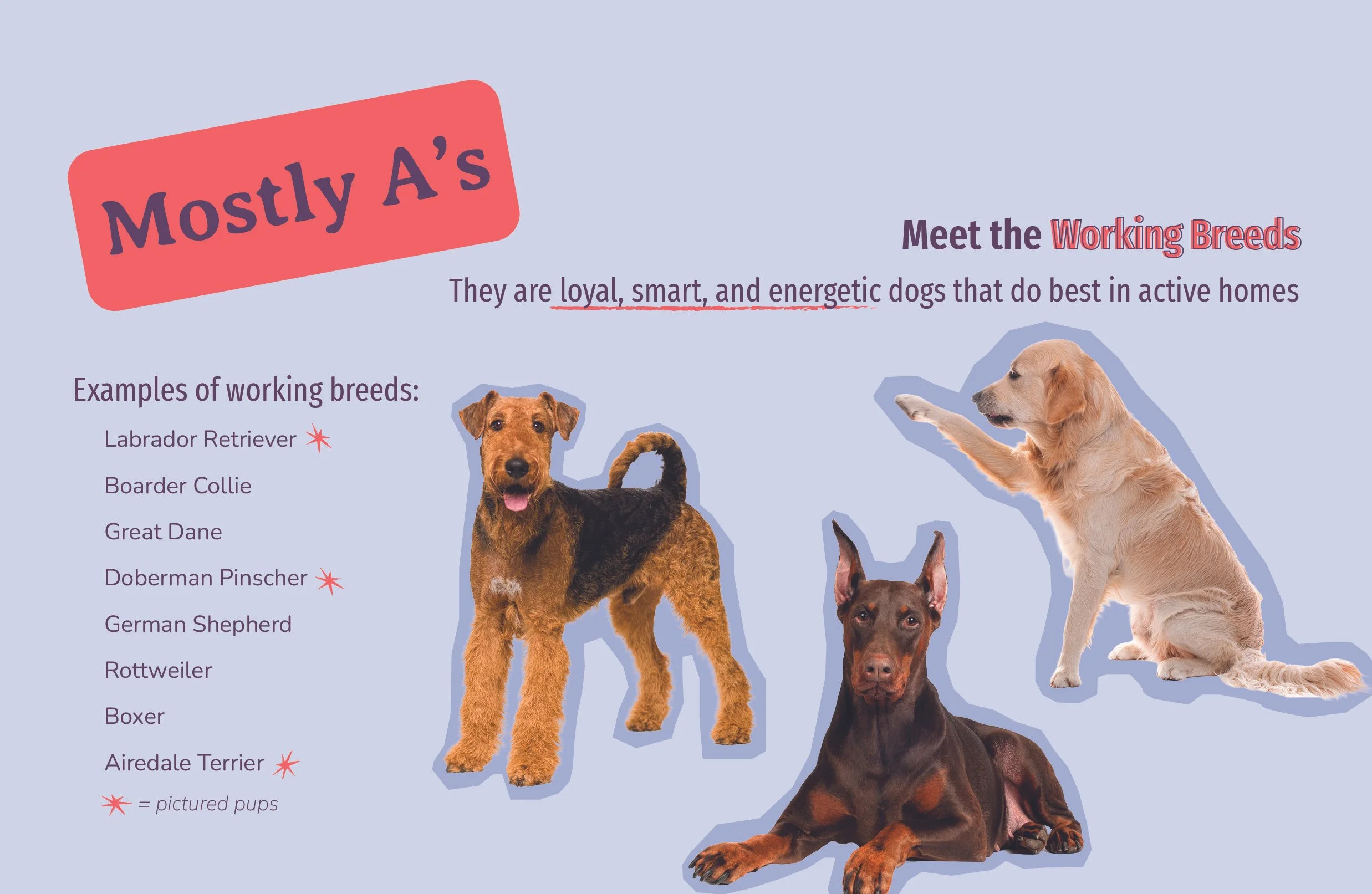 Sample pages from guide. 