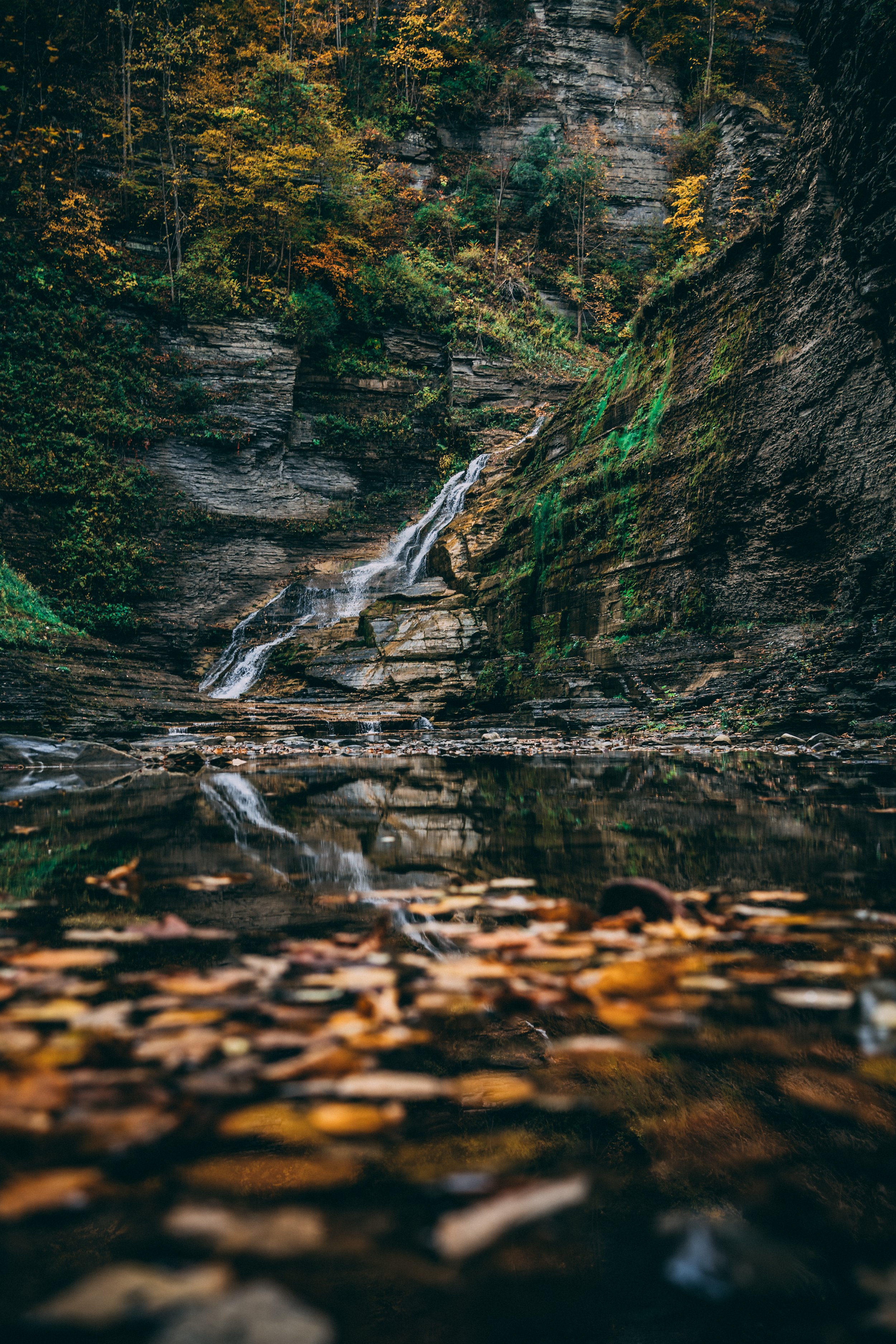 Kevin J. Rose - Catskills.jpg