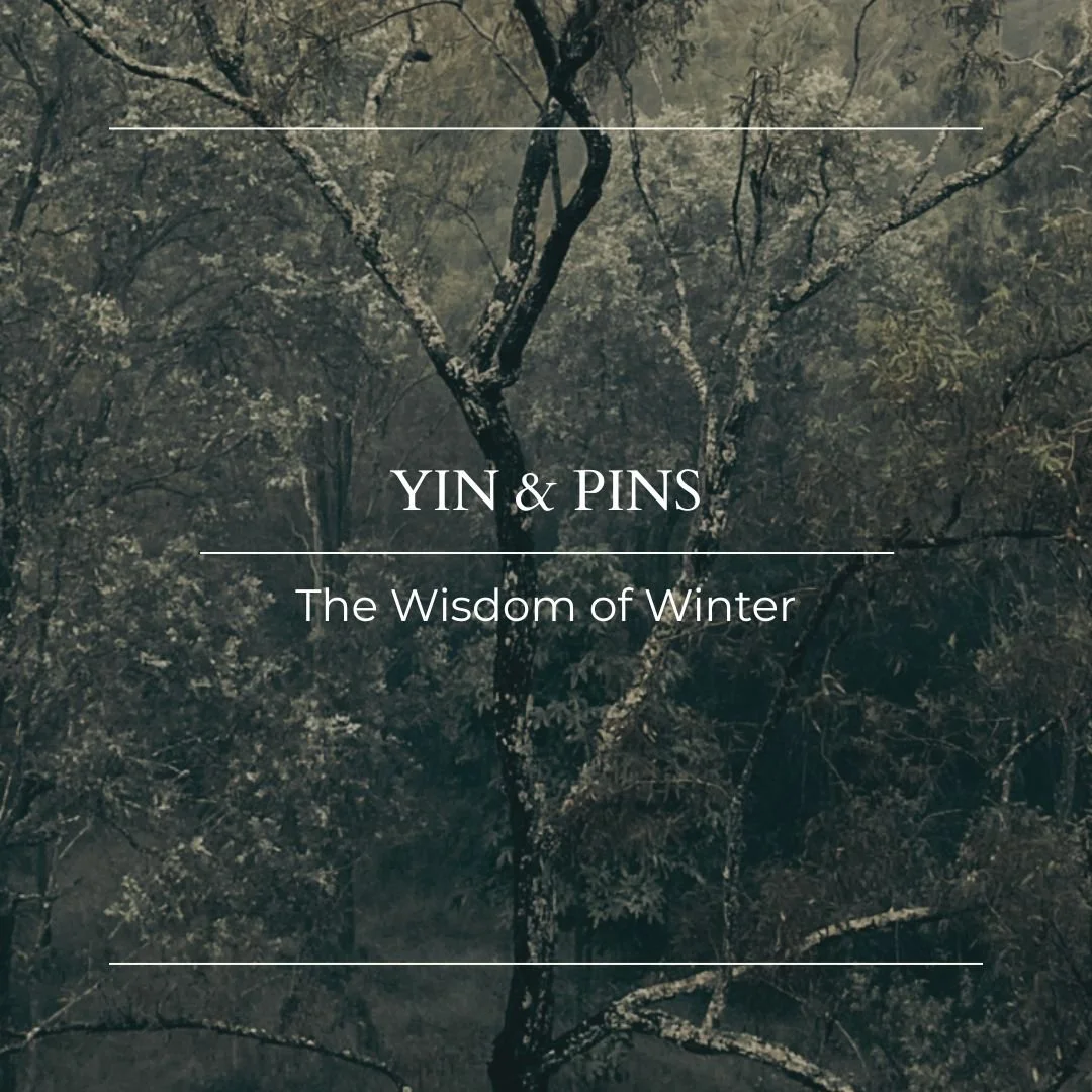Yin & Pins: The Wisdom of Winter