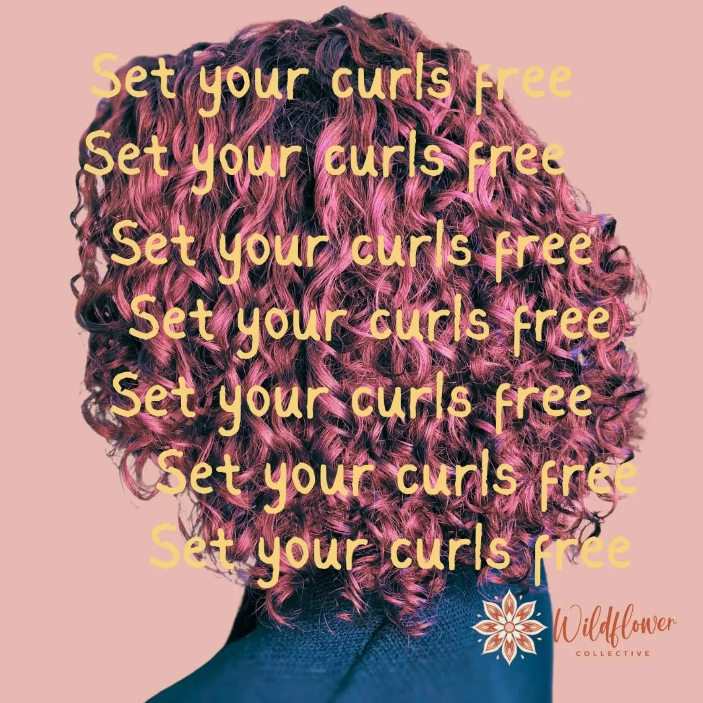 🌷Your curls were never meant to be tamed
 
🌷They were meant to be free 

🌷Set your curls free