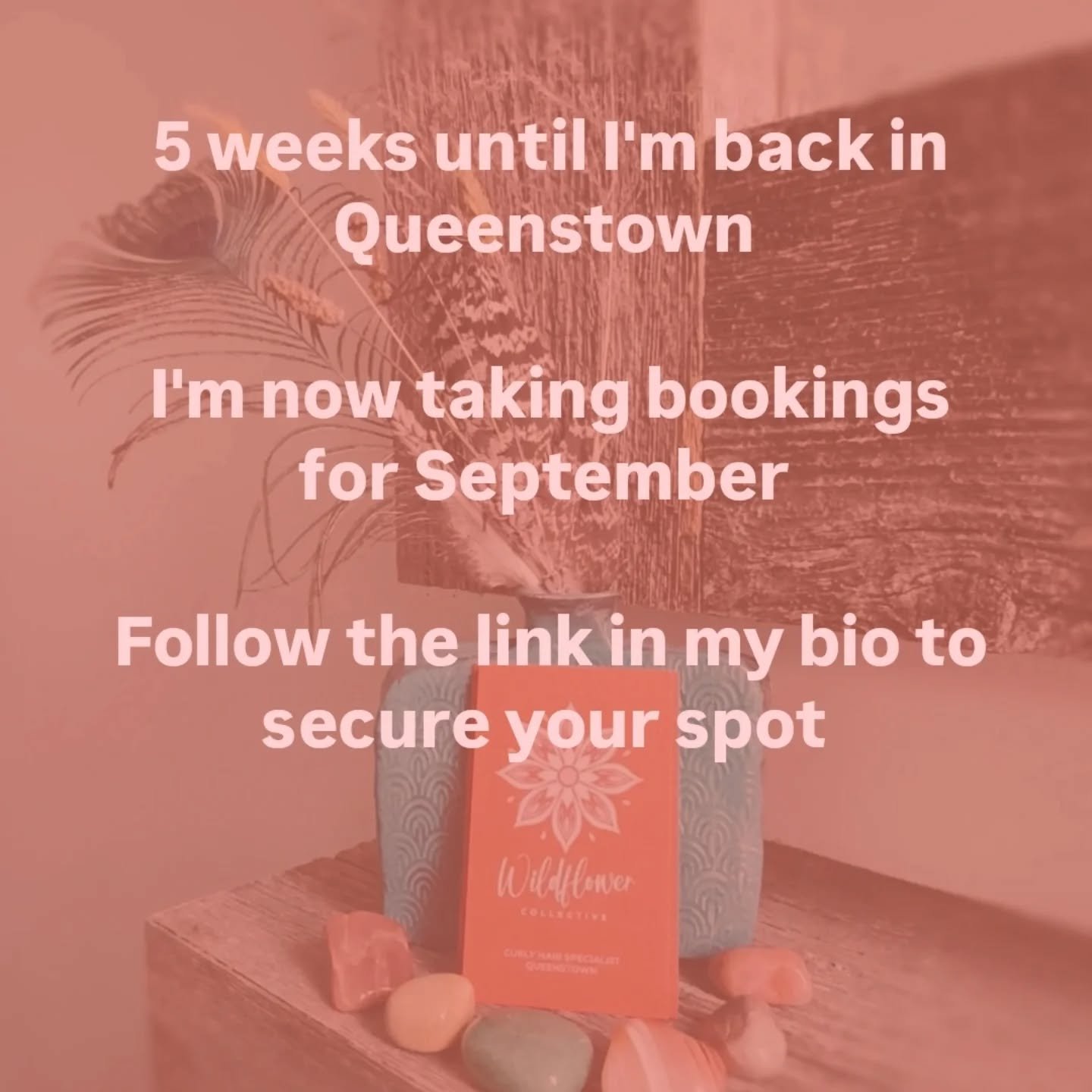 🌷Wow my time home is flying by!

🌷It won't be long before I'm back behind the chair doing what I love 🥰

🌷Have you secured your September spot?

🌷Link in bio to book now