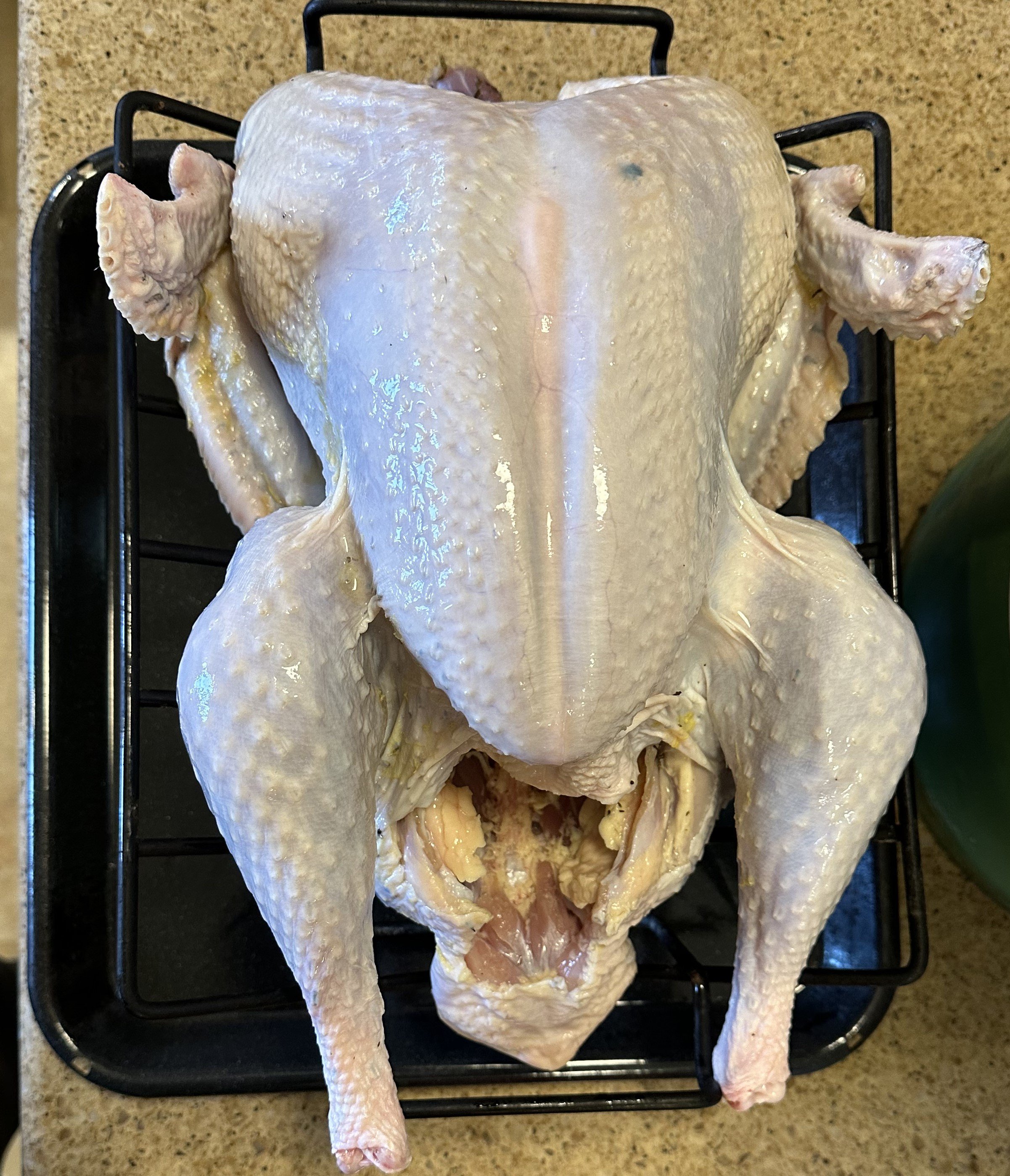 Turkey.jpg