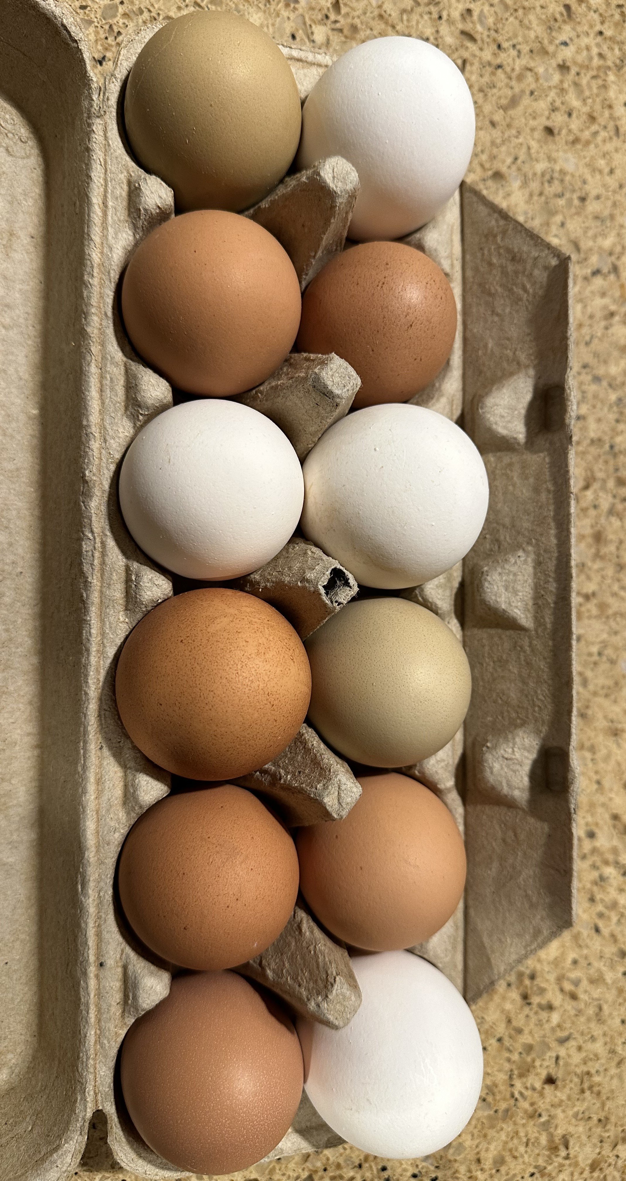 Egg Subscription Deposit