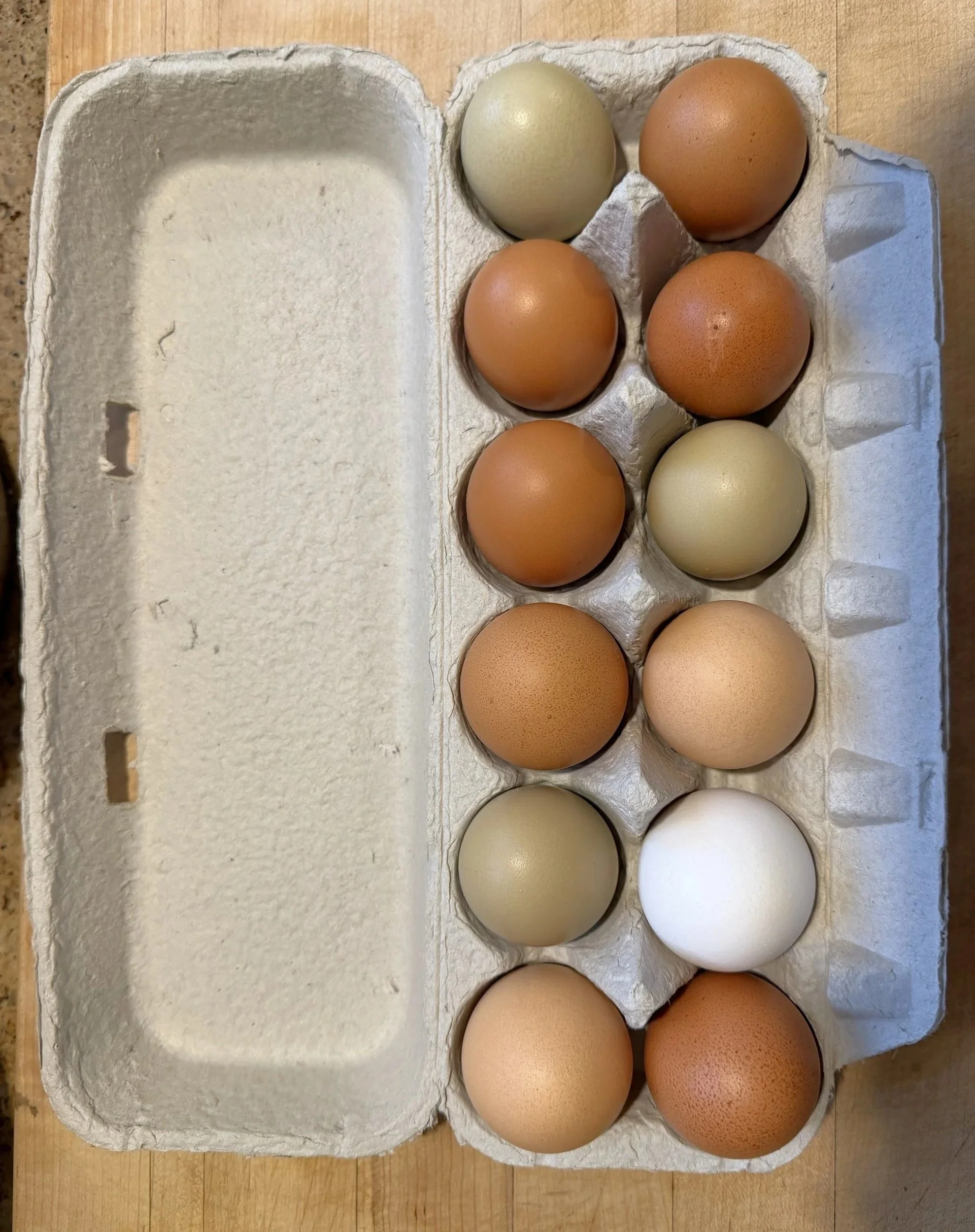 Eggs+-+open+carton.jpg