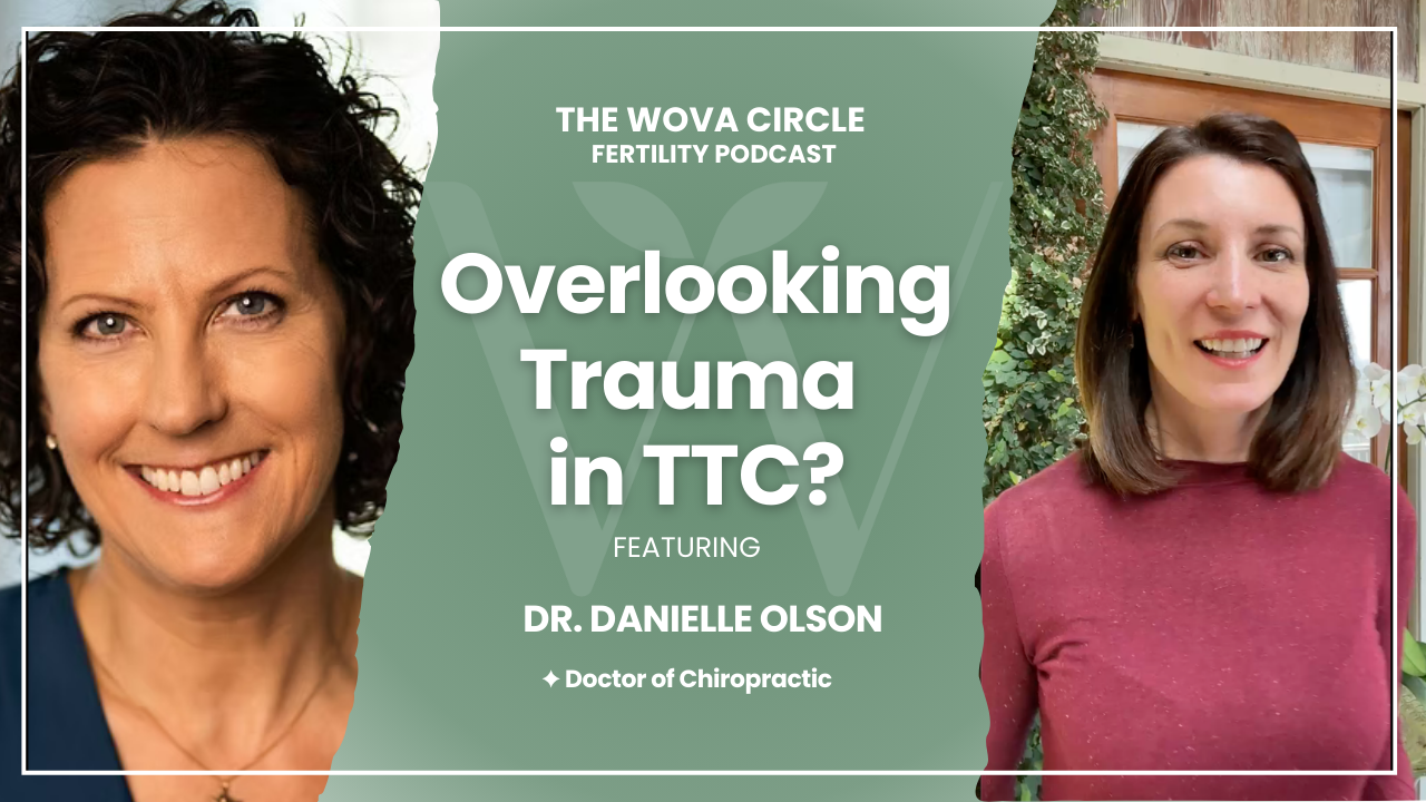 🎧 Episode 12: How Unresolved Trauma &amp; Hidden Stress Can Impact Fertility: Mind-Body Approaches for TTC with Dr. Dani