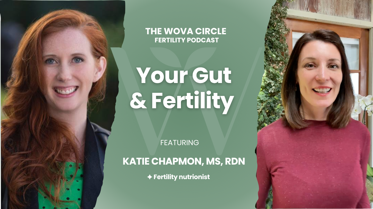 🎧 Episode 17: Trying to Conceive? How Gut Health, Hormones &amp; Inflammation Affect Fertility with Katie Chapman