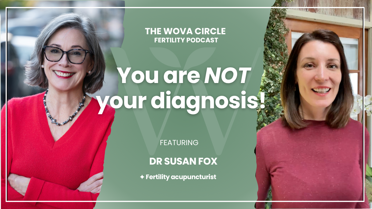 🎧 Episode 16: Chinese Medicine for Fertility: Egg Quality &amp; Hormone Health with Dr. Susan Fox
