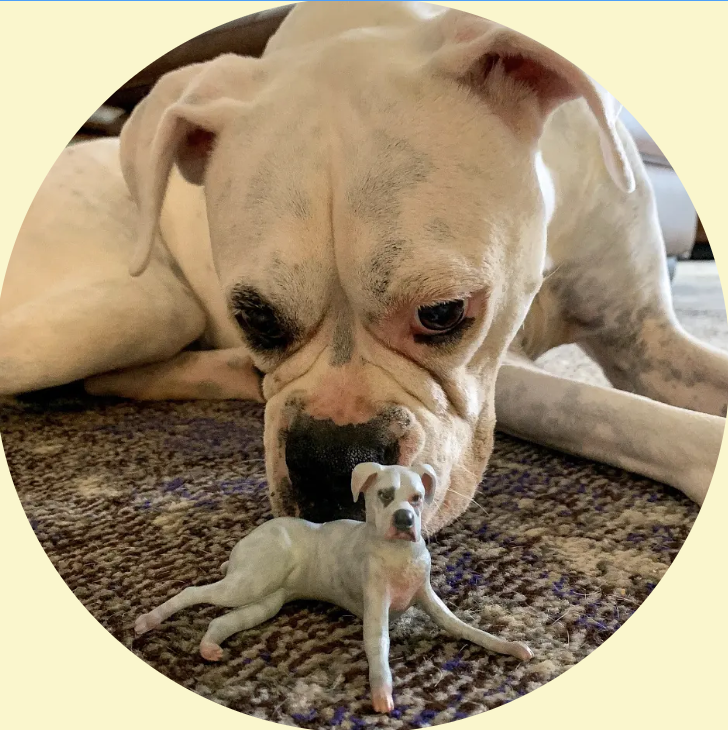 Screenshot 2025-01-19 at 2.02.01 pm.png