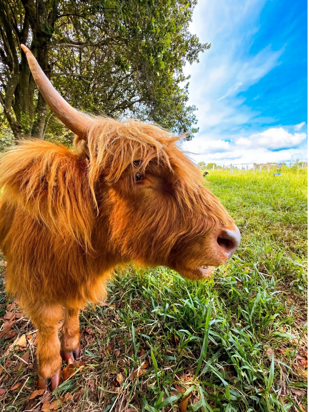 Copy of Copy of Photo Carousel Template - Instagram 34 (23).png