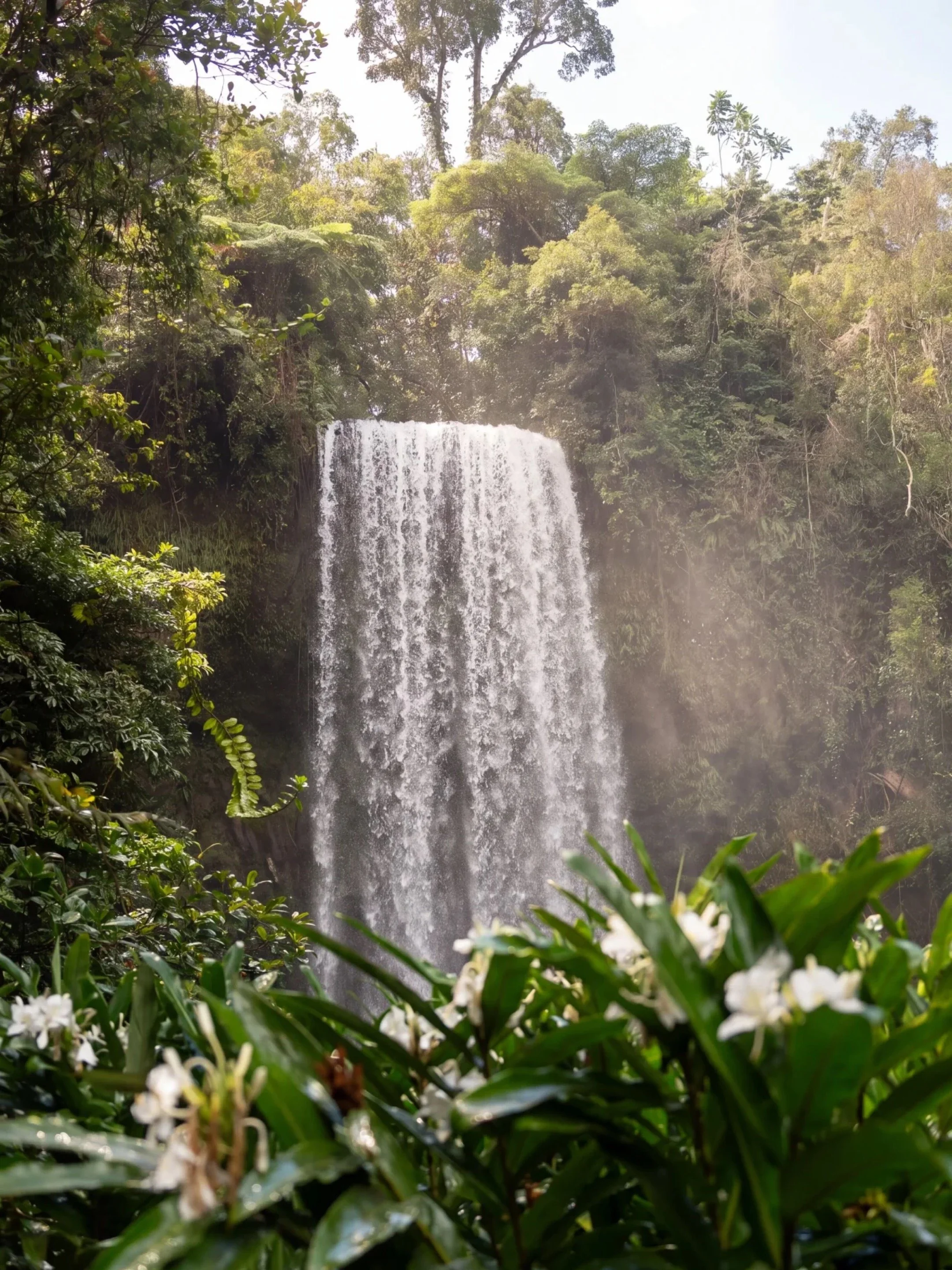 2026_04_19_AthertonTablelands_MillaMillaFalls_Waterfall_Feature (1).JPG