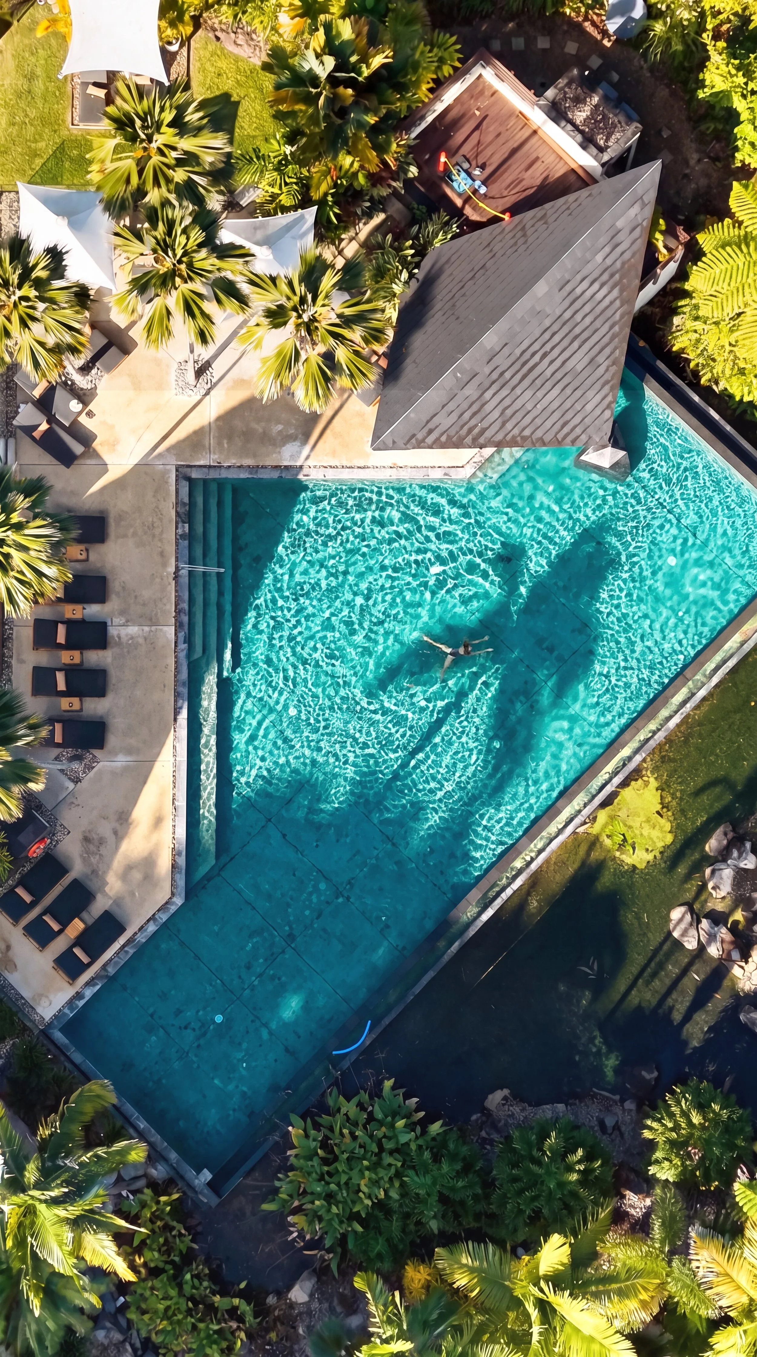 niramaya pool.jpg