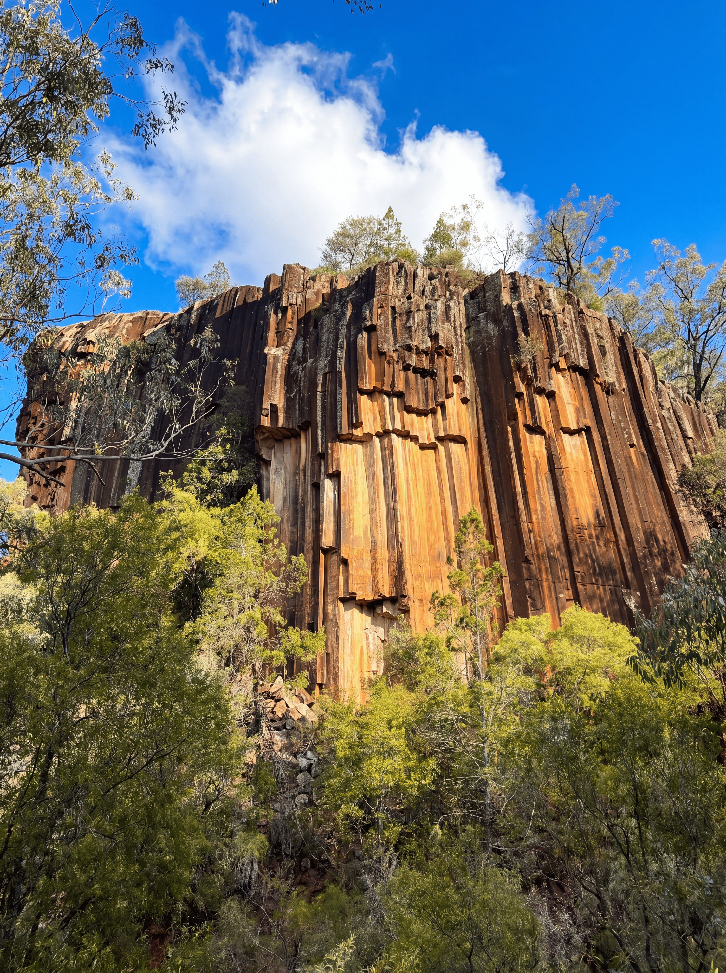 2026_06_09_MtKaputarNationalPark_SawnRocks_Feature (1) (2).png