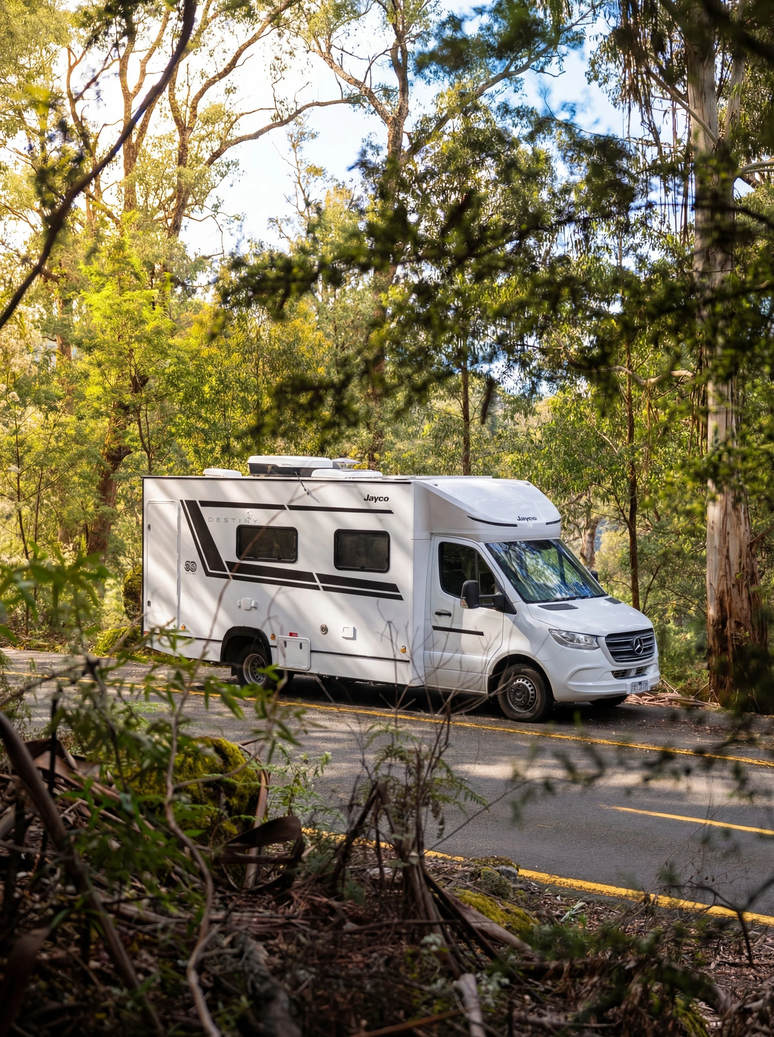 A white camper van parked on a forest road surrounded by tall trees and foliage, with sunlight filtering through the leaves.