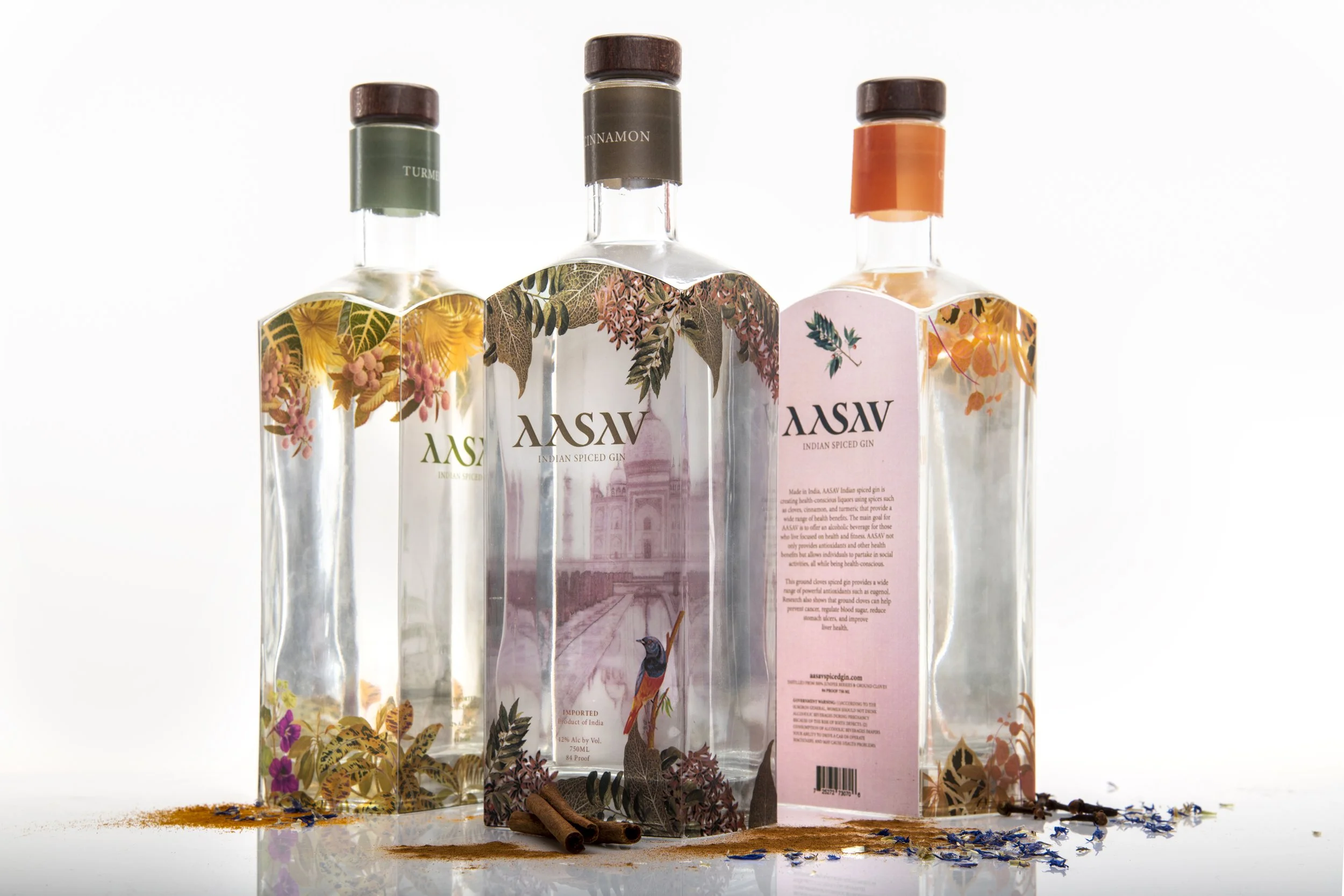 AASAV Detail FINAL.jpg