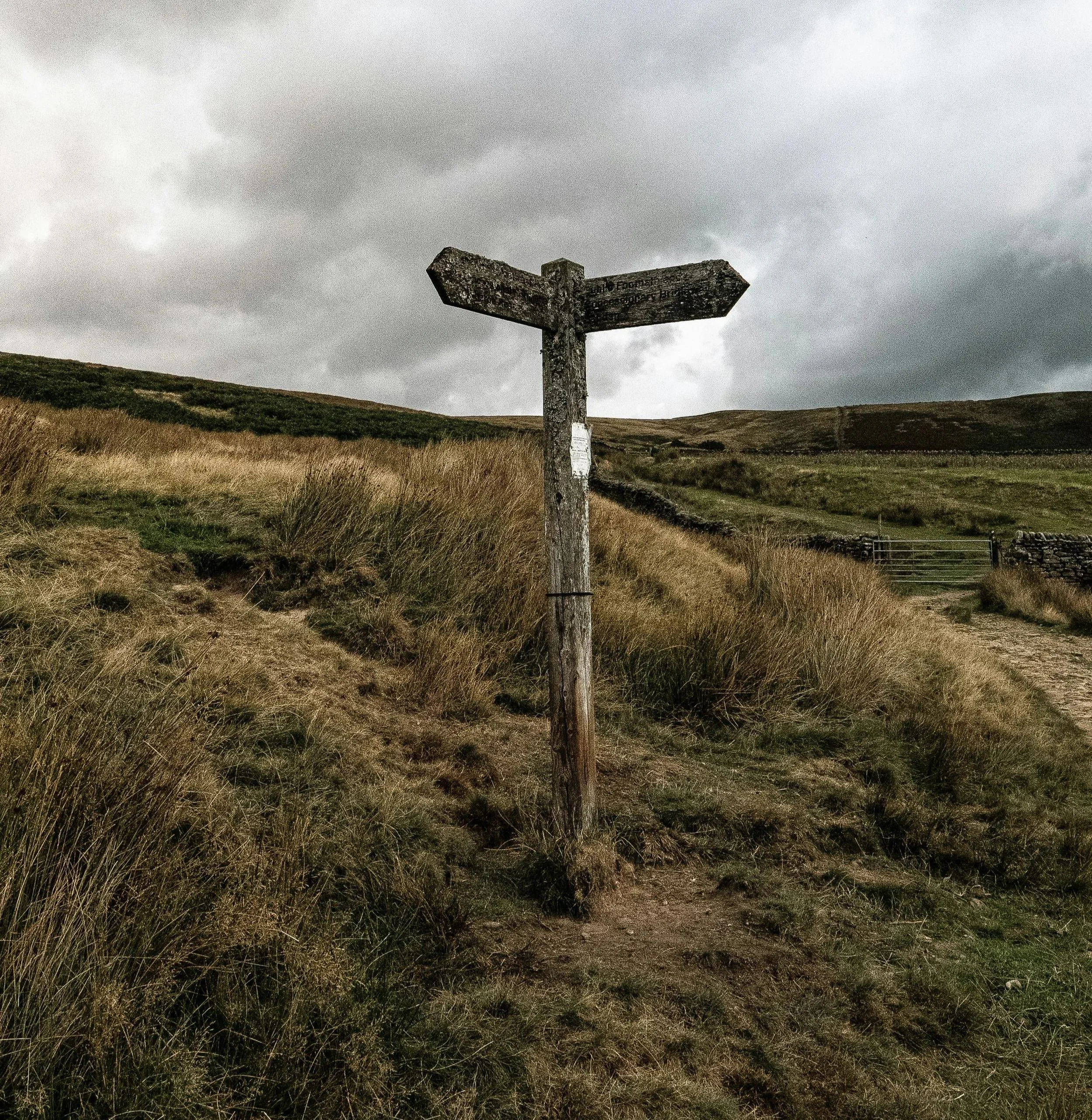 What If There's No Wrong Decision?