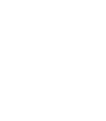 9-Fairy - PNG.png